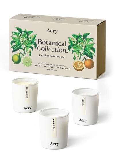 AE0032_BotanicalCollection_VotiveGiftSet_2WS_1200x1700_LO_400x (1).jpg