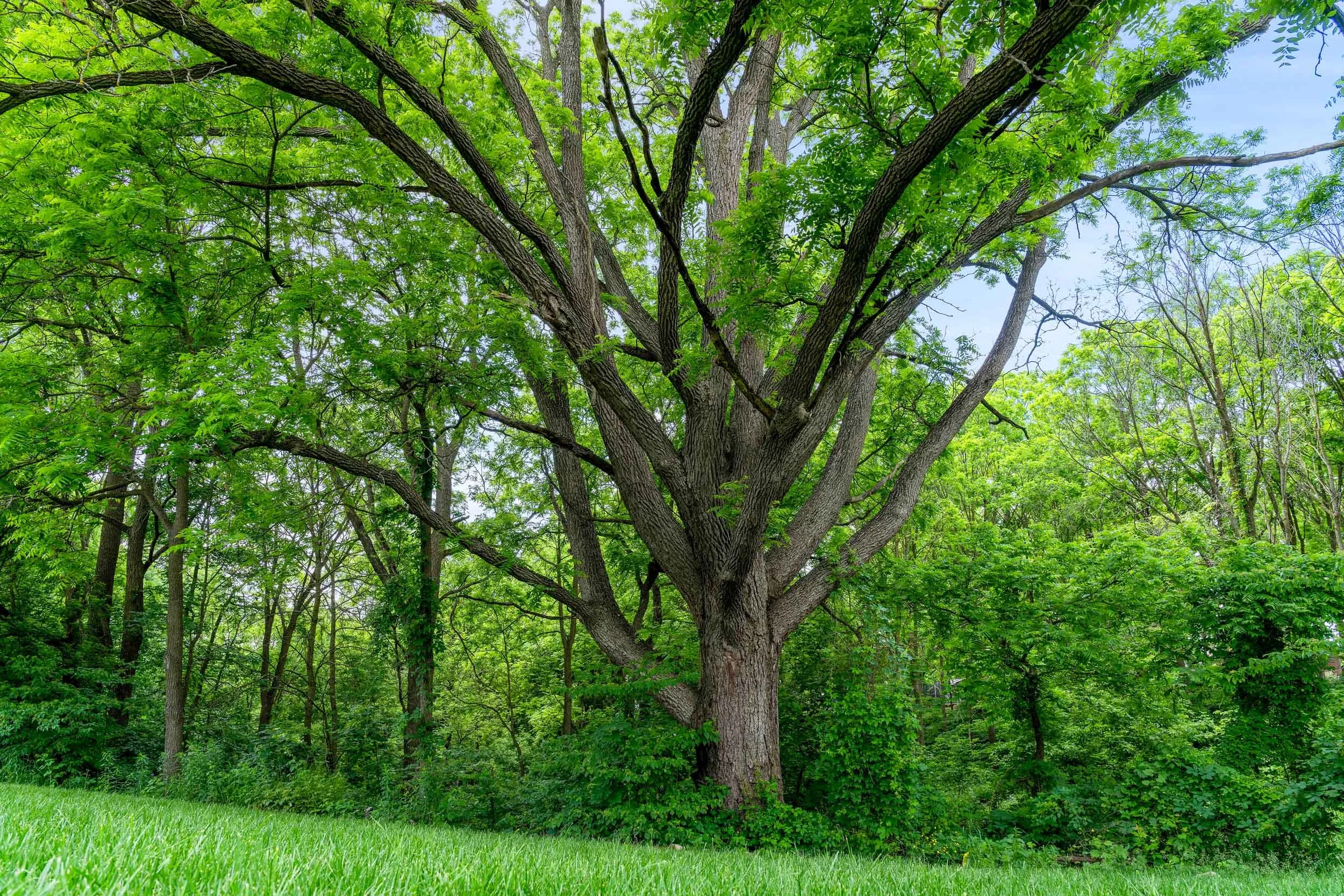 160 Eccles Avenue Web (6).jpg