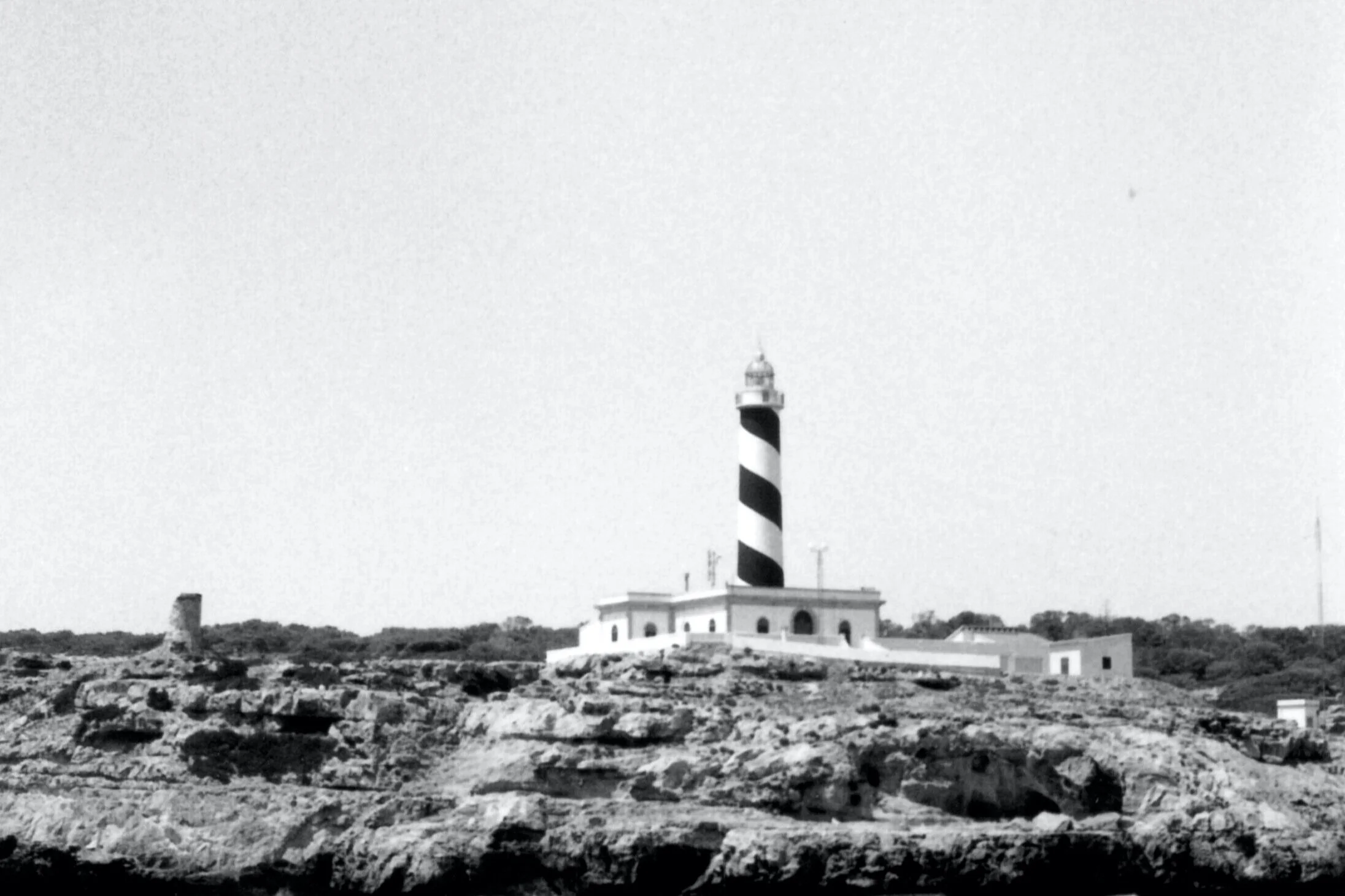 sailing // Fomapan 100