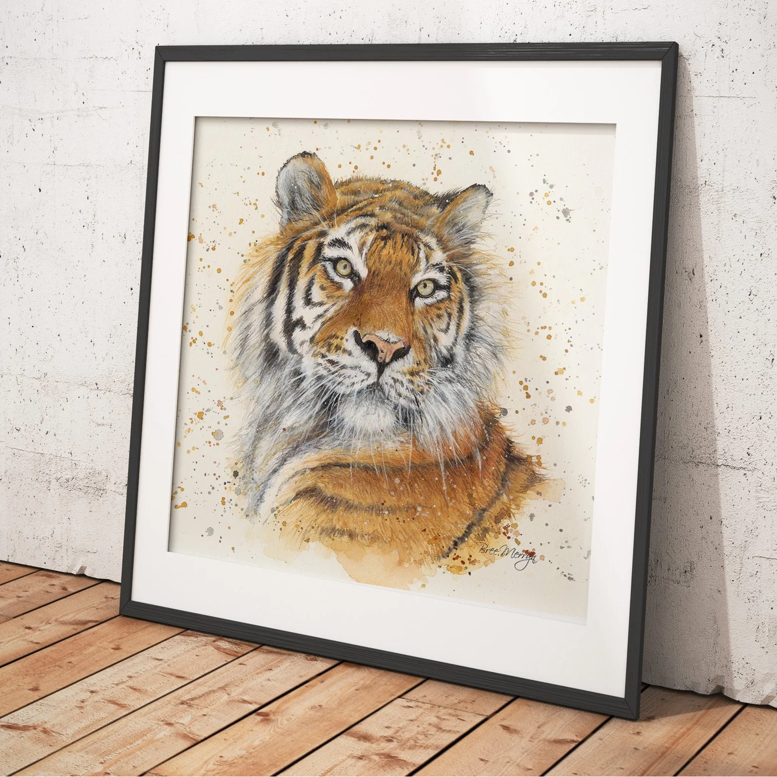 Taj the Tiger - Available in a range of prints and canvases