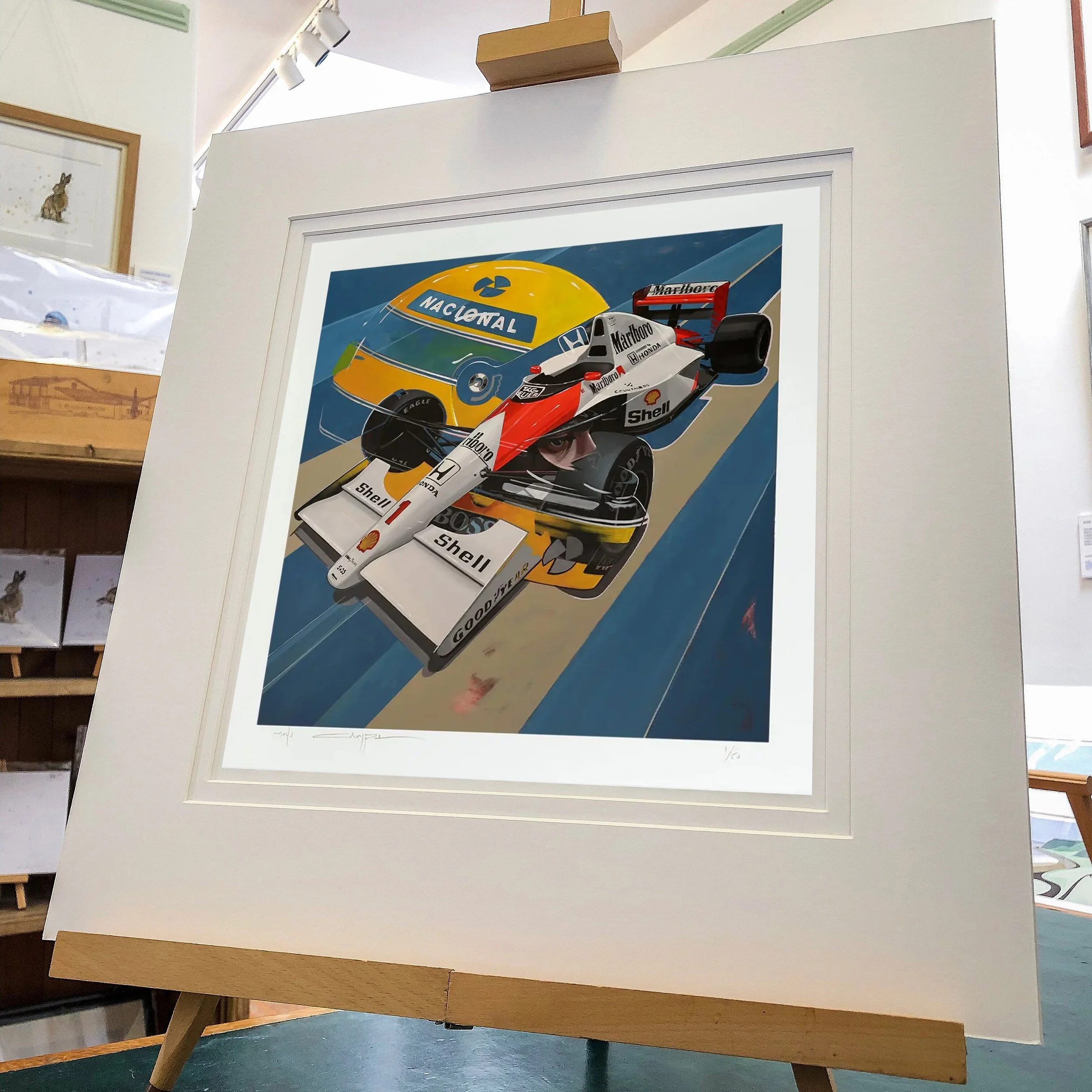 Senna.Tribute.Mounted.jpg