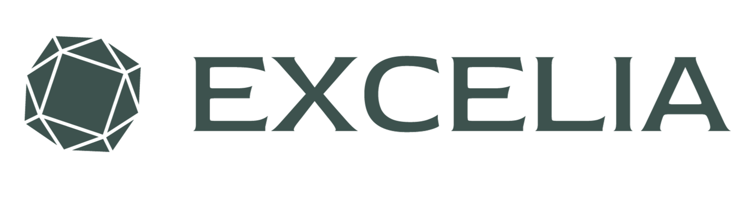 Logo of Excela featuring a geometric shape with interconnected lines to the left of the company name in gray uppercase letters.