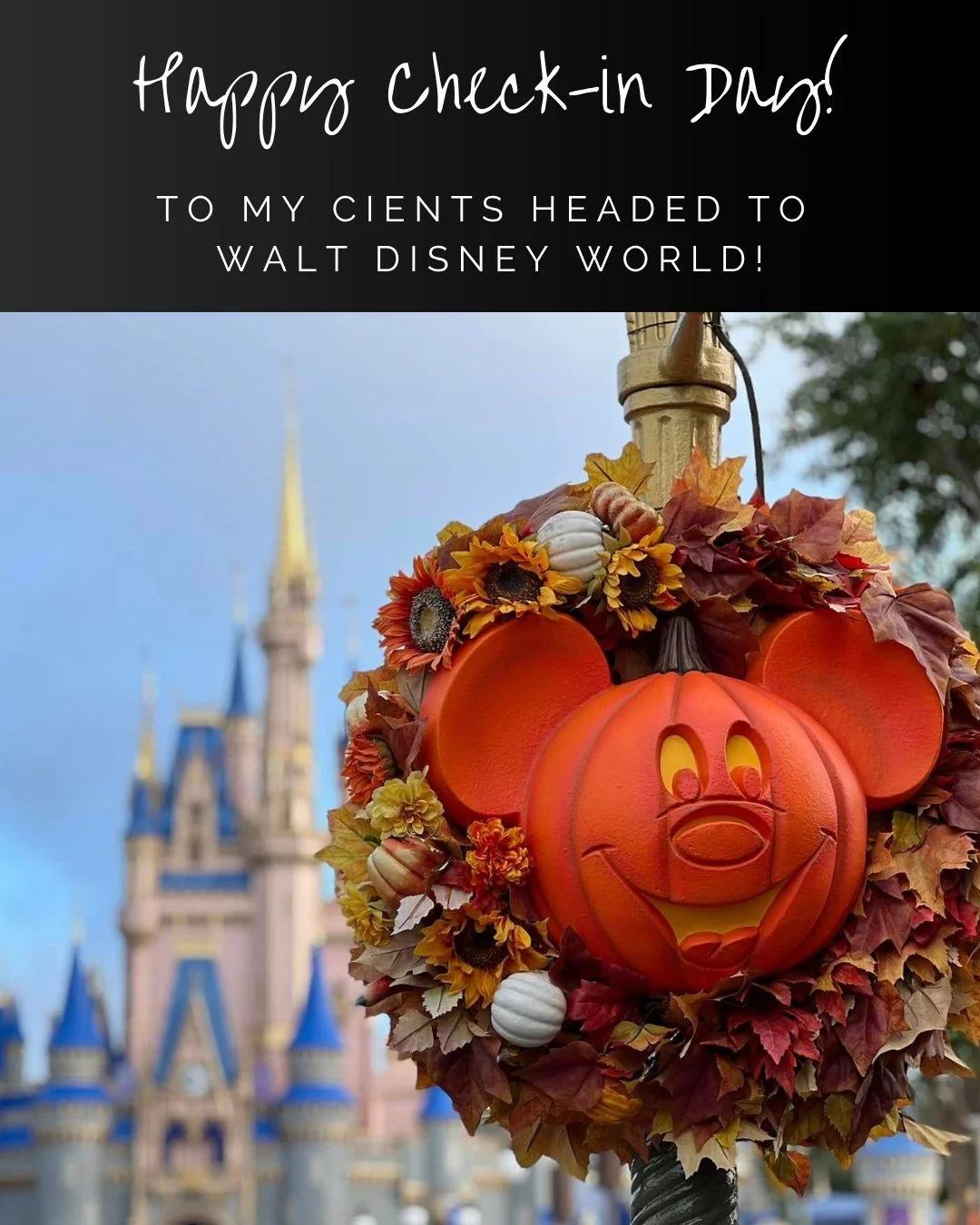 Happy Check-In Day to my Walt Disney World Clients! I hope you have the best family trip! 🏰 

#waltdisneyworld #vacation #travel #letsgoonvacation #disneyfamily #disneytravel #travelagent #mom #travelplanner #goldgellgetaways