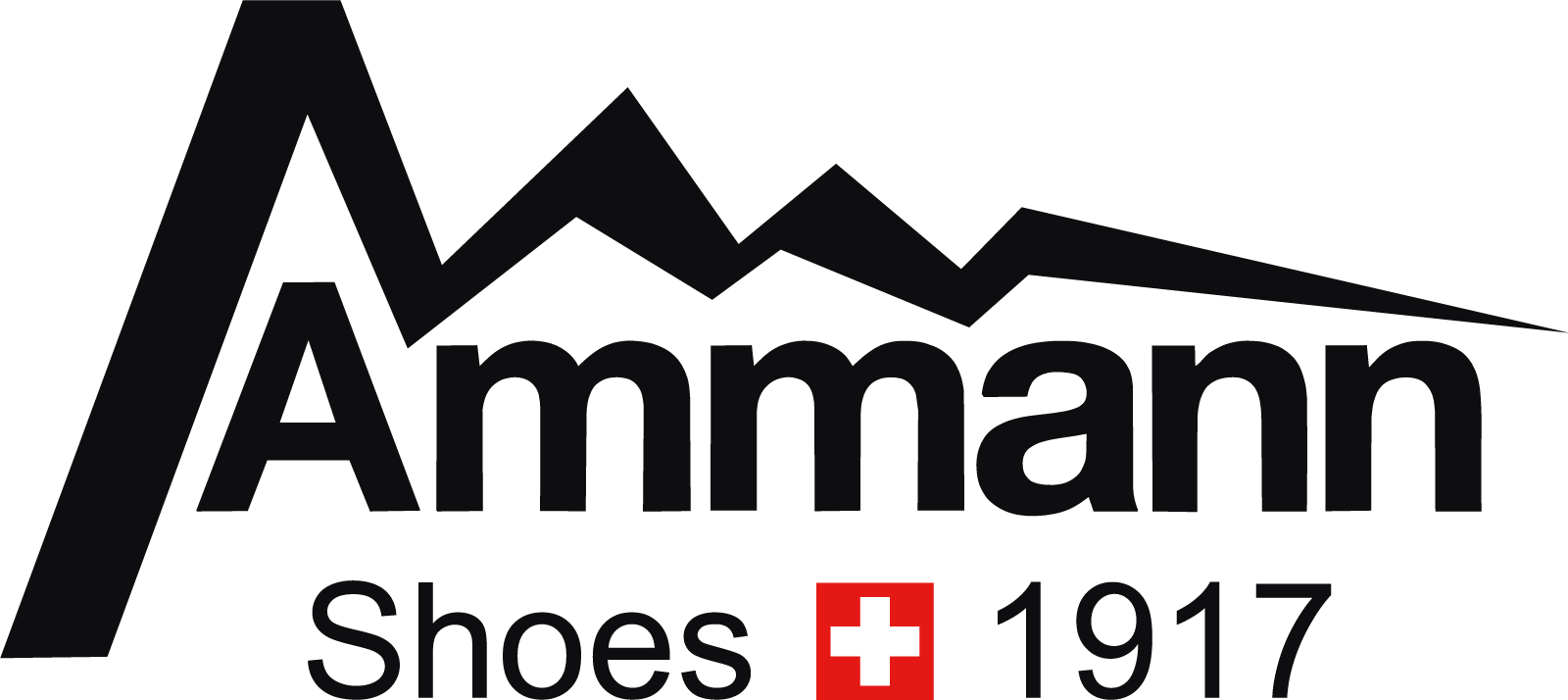 Ammann_Logo_RGB.png