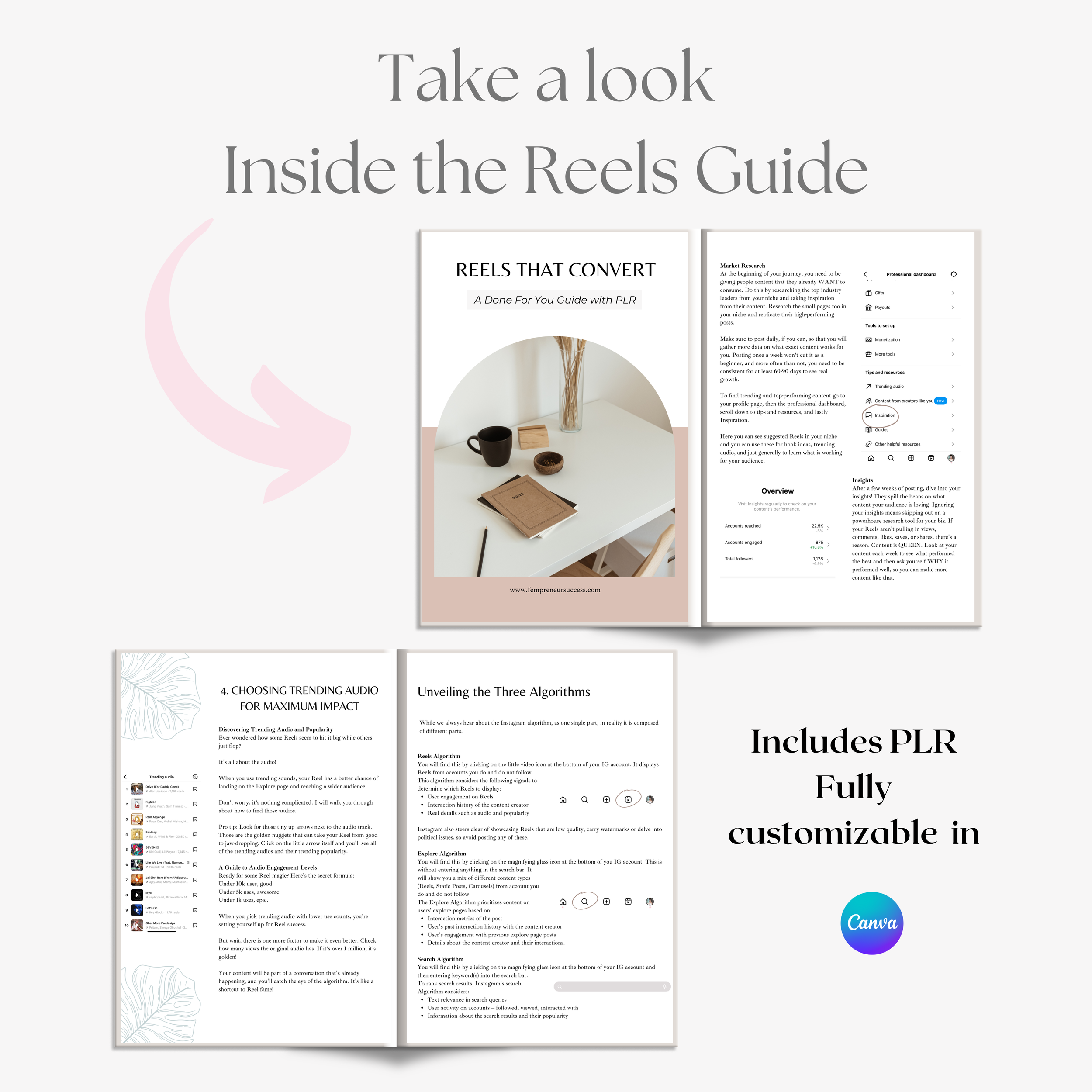 Inside Reels that convert.png