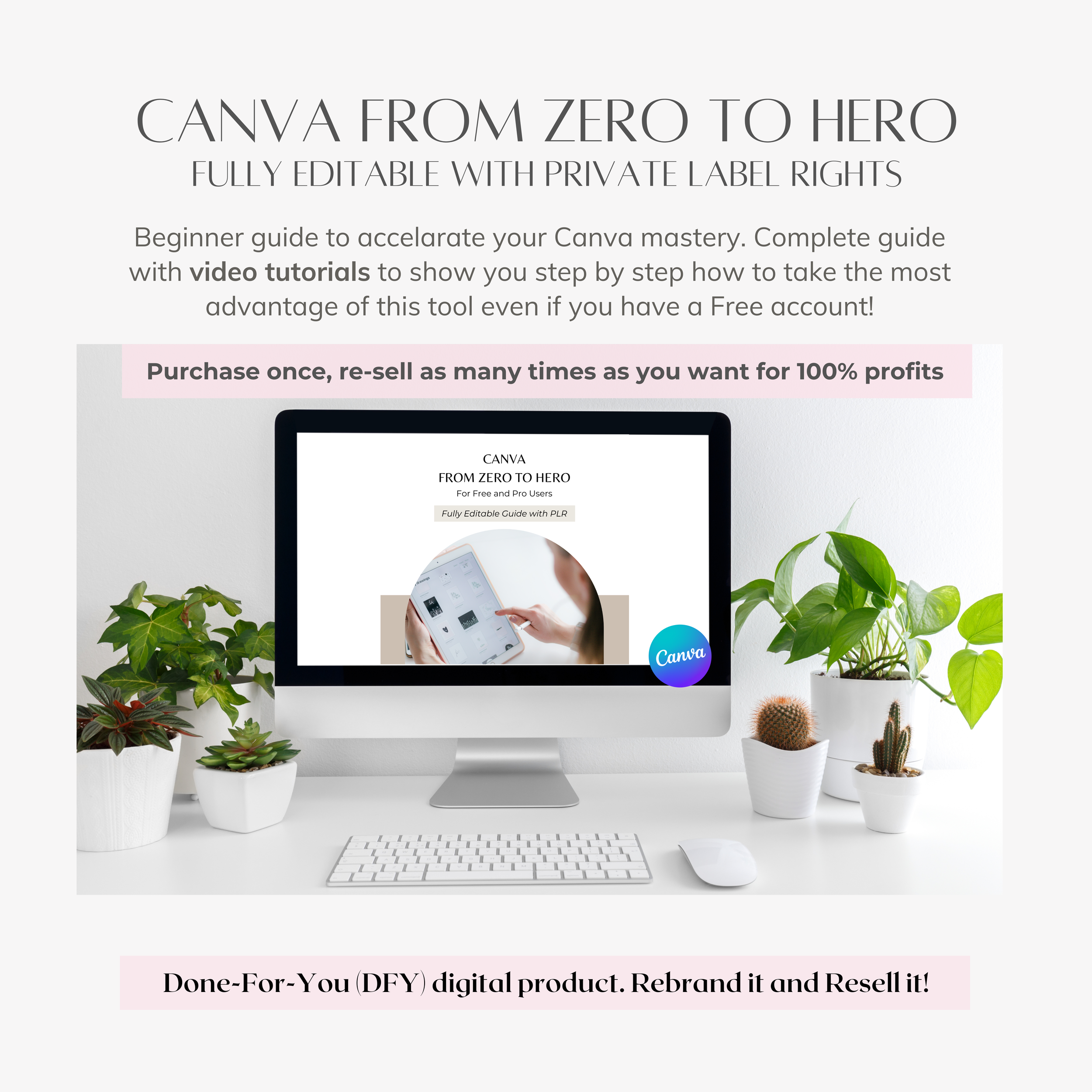 Canva Beginner Guide with Video Tutorials.png