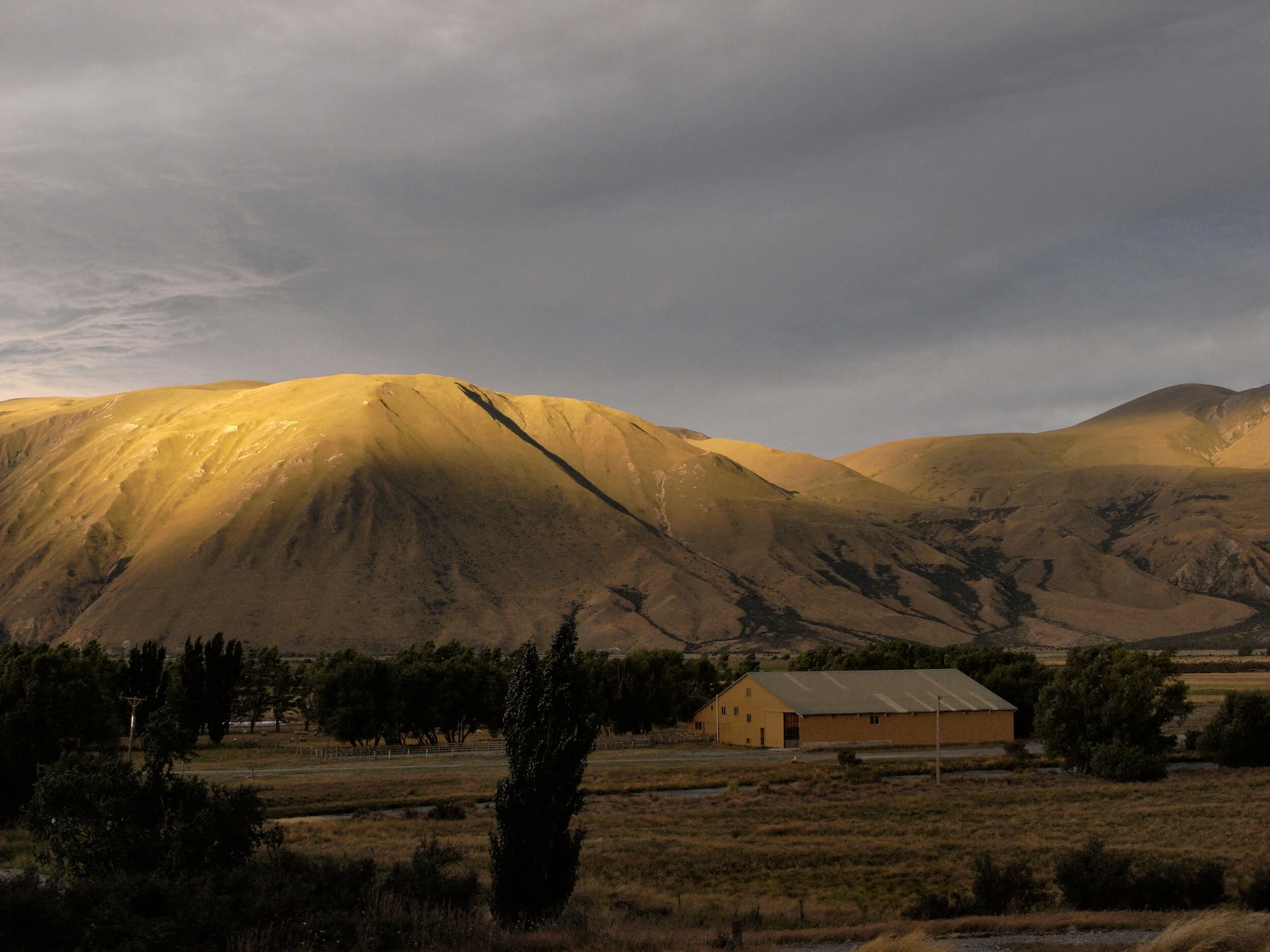 08-577sheep sheds, FC.jpg