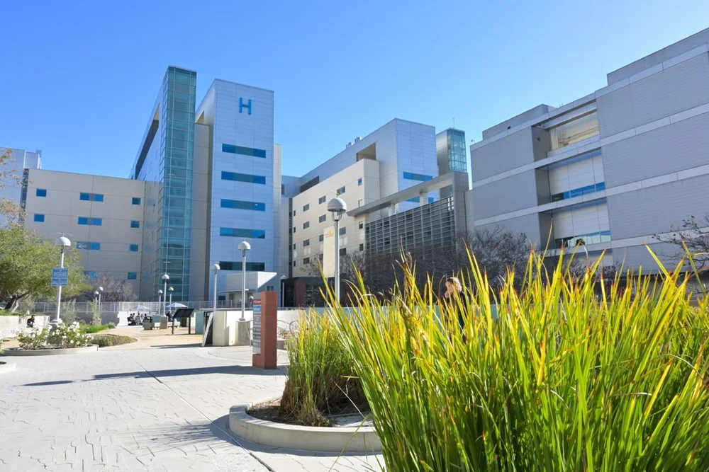 Lac Usc Medical Center