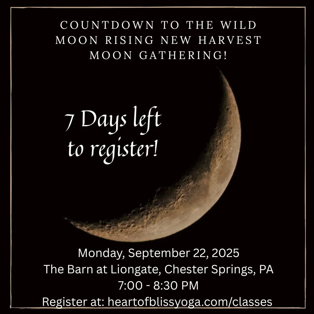 One week.
That&rsquo;s all the time between now and your next deep exhale.
Join us under the New Harvest Moon at the Barn at Liongate in Chester Springs, PA for a sacred women&rsquo;s circle rooted in reflection, ritual, and release. 🌑✨
Together, we