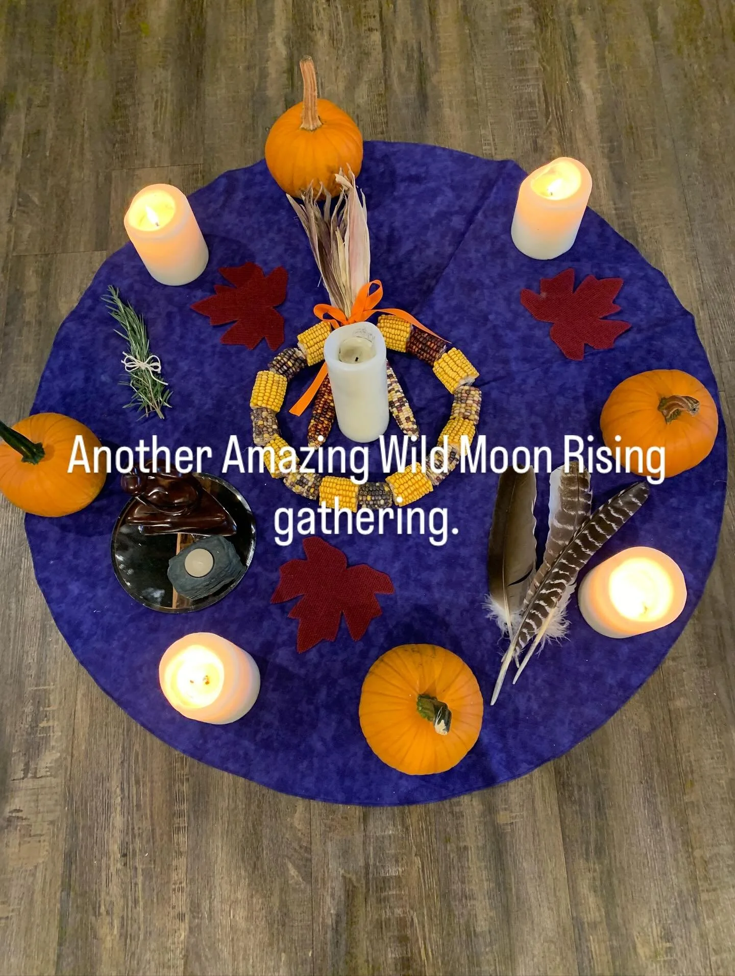 Gratitude to all my wild moon rising sisters who gathered in circle last night, your light, presence, and energy made it so special.

We meet again beneath the wolf new moon on 12/19/25 at the barn in Liongate, Chester County PA. I can&rsquo;t wait t