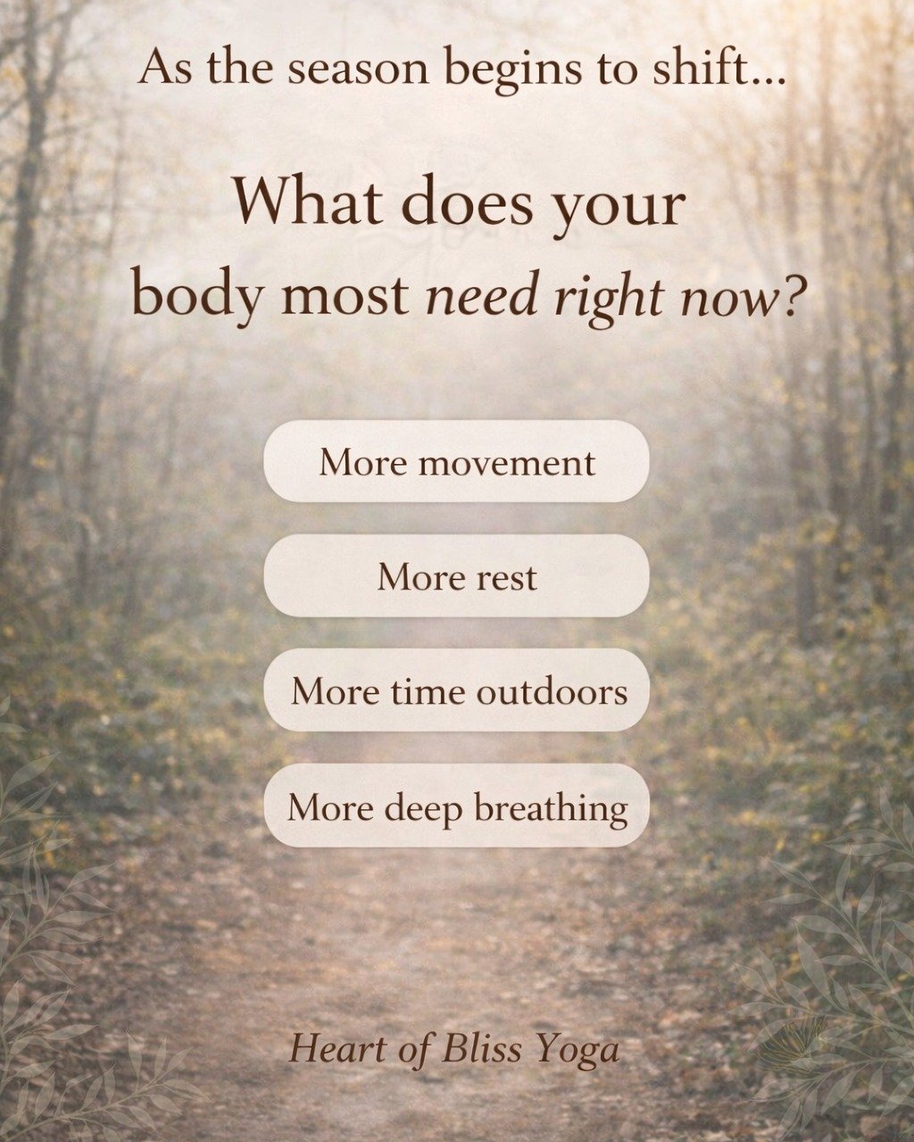 As March comes to a close, the signs of spring are beginning to appear.

The earth softens.
The light lingers a little longer each evening.
Nature slowly awakens from the stillness of winter.

Our bodies often move through a similar transition.

Afte