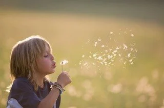 Breathe Deeper. Move Softer. Begin on Wednesday, June 24, or Thursday, June 25. All are Welcome. 
Our breath has many functions. It can calm us, give us energy, balance us, and even cool us on a hot summer's day! In this 6-week session, we will explo