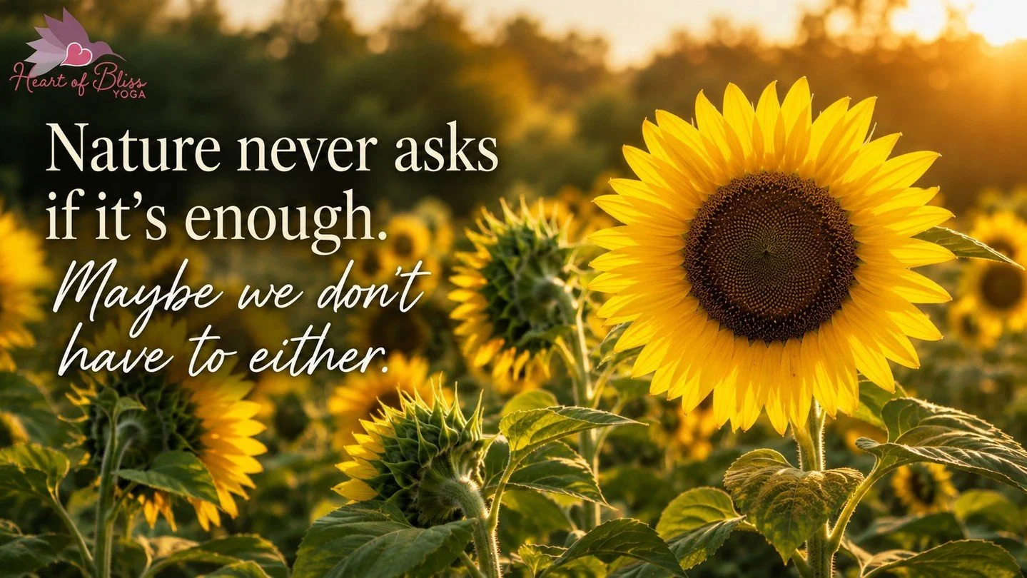 When is Enough Enough?

By August, nature begins to soften. The frantic growth of spring has settled into quiet abundance. Gardens are heavy with fruit, fields glow with sunflowers, and the earth seems to whisper, "Slow down. Savor. Receive.&quo