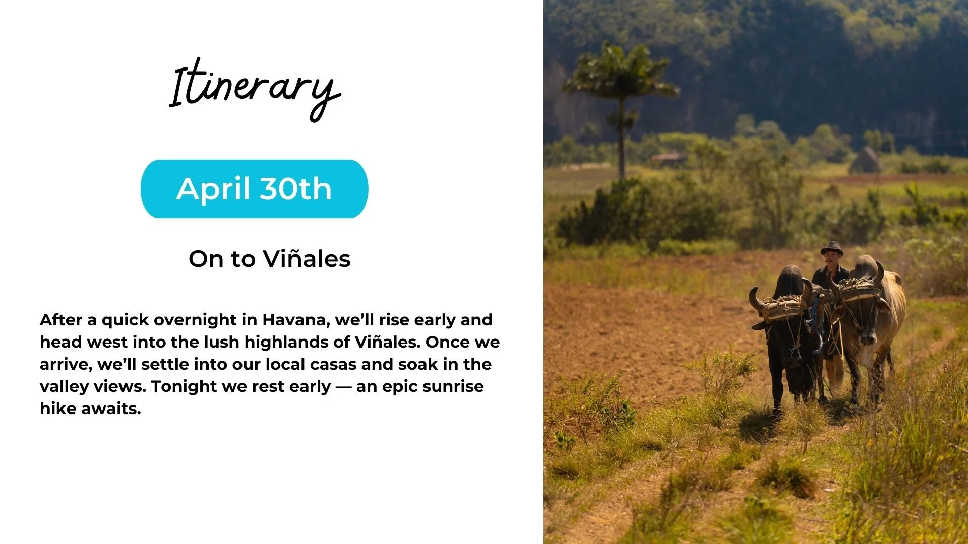 A travel itinerary flyer with text on the left and an image of a person walking with pack animals through a valley on the right.