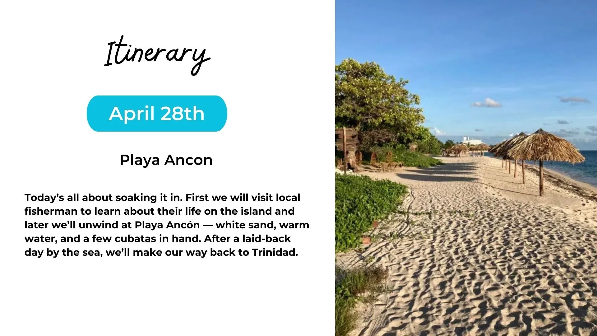Beach with white sand, green vegetation, and straw umbrellas under a clear blue sky, with the sea on the right side.