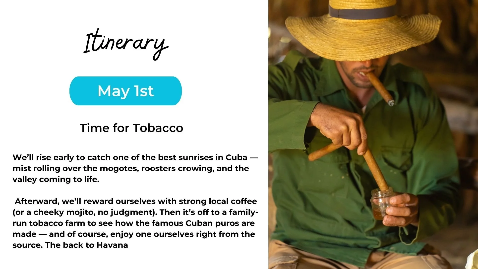 A man wearing a large woven hat, green shirt, and cigar in his mouth, preparing tobacco with a wooden tool.