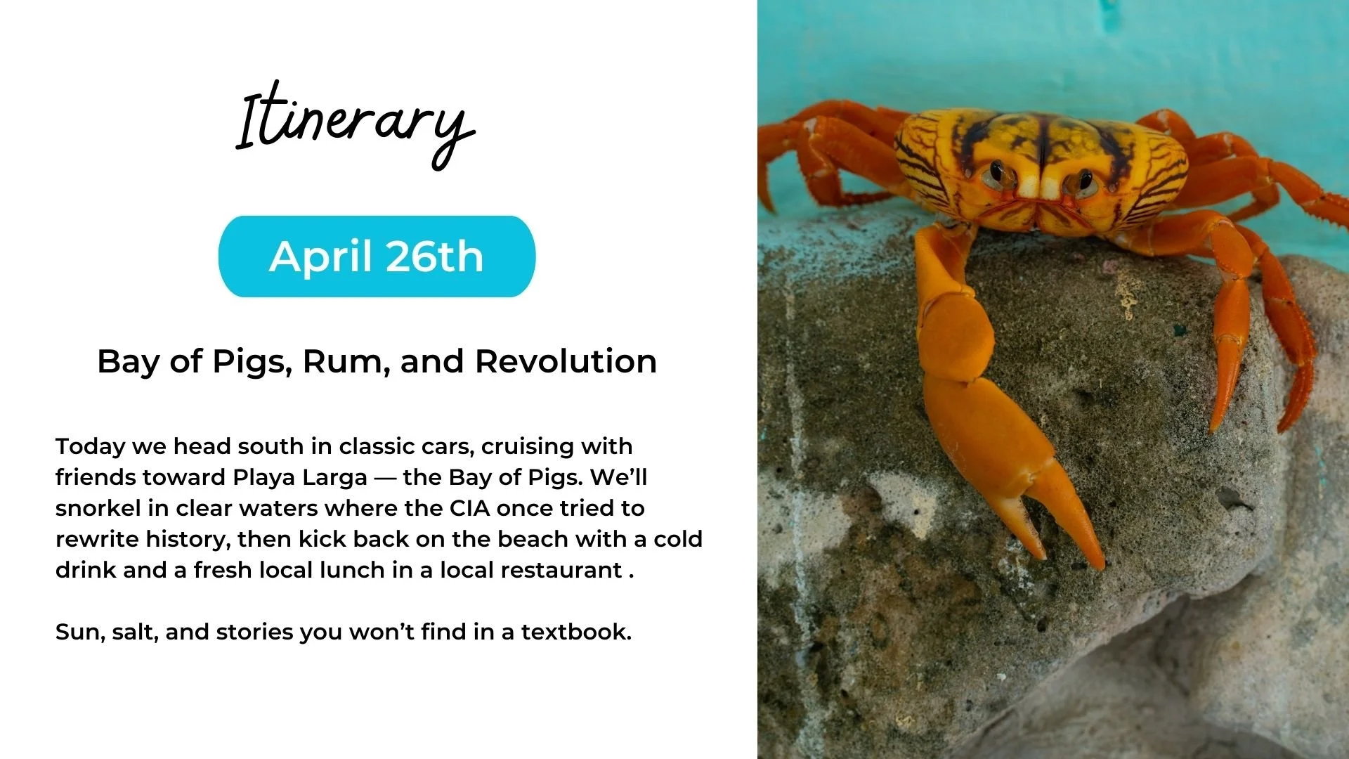 A digital itinerary for April 26th featuring a trip to the Bay of Pigs, Rum, and Revolution, with a picture of a brightly colored orange and yellow crab on a rock.
