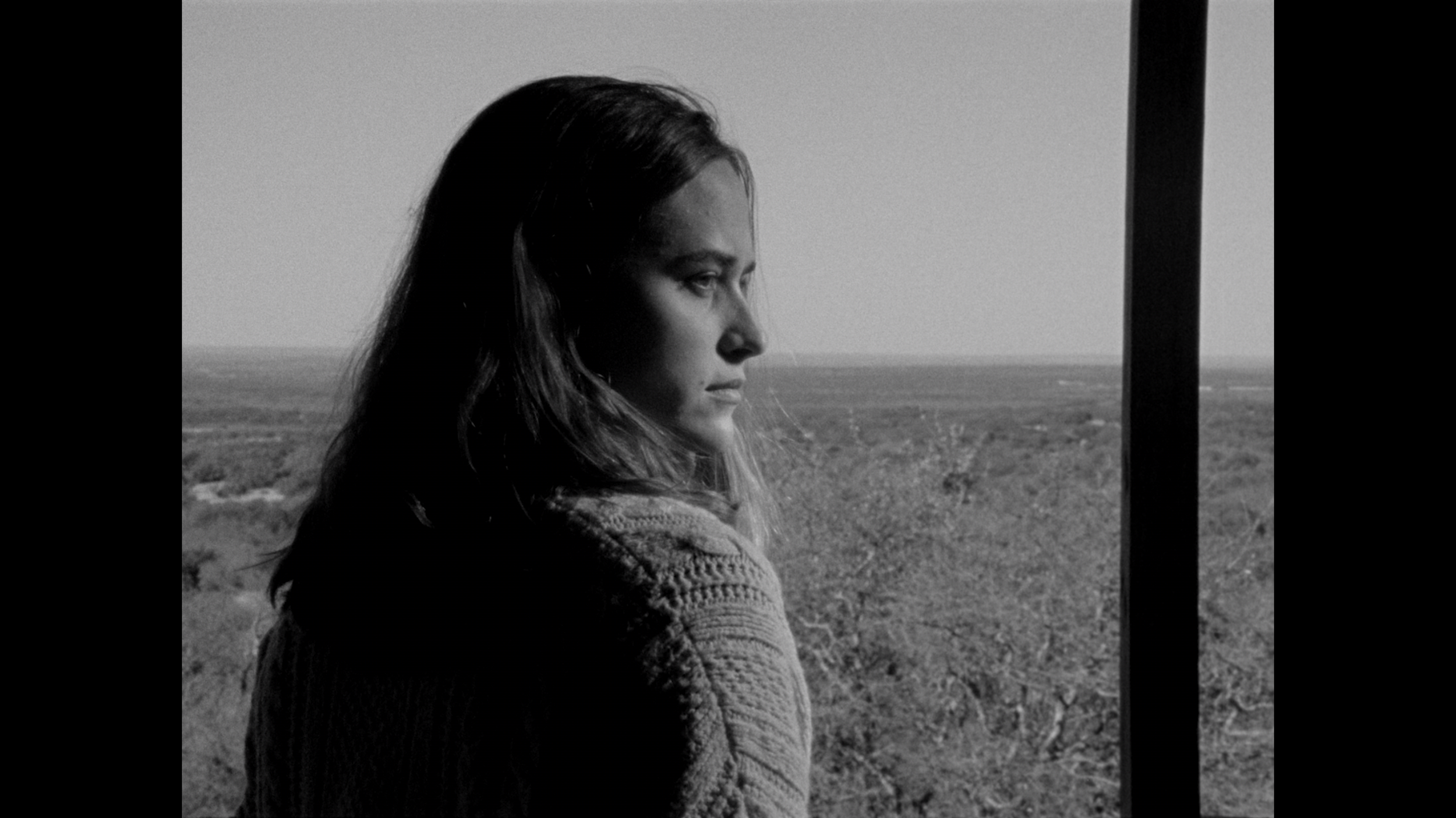 Screen Shot 2022-05-30 at 11.11.09 AM.png