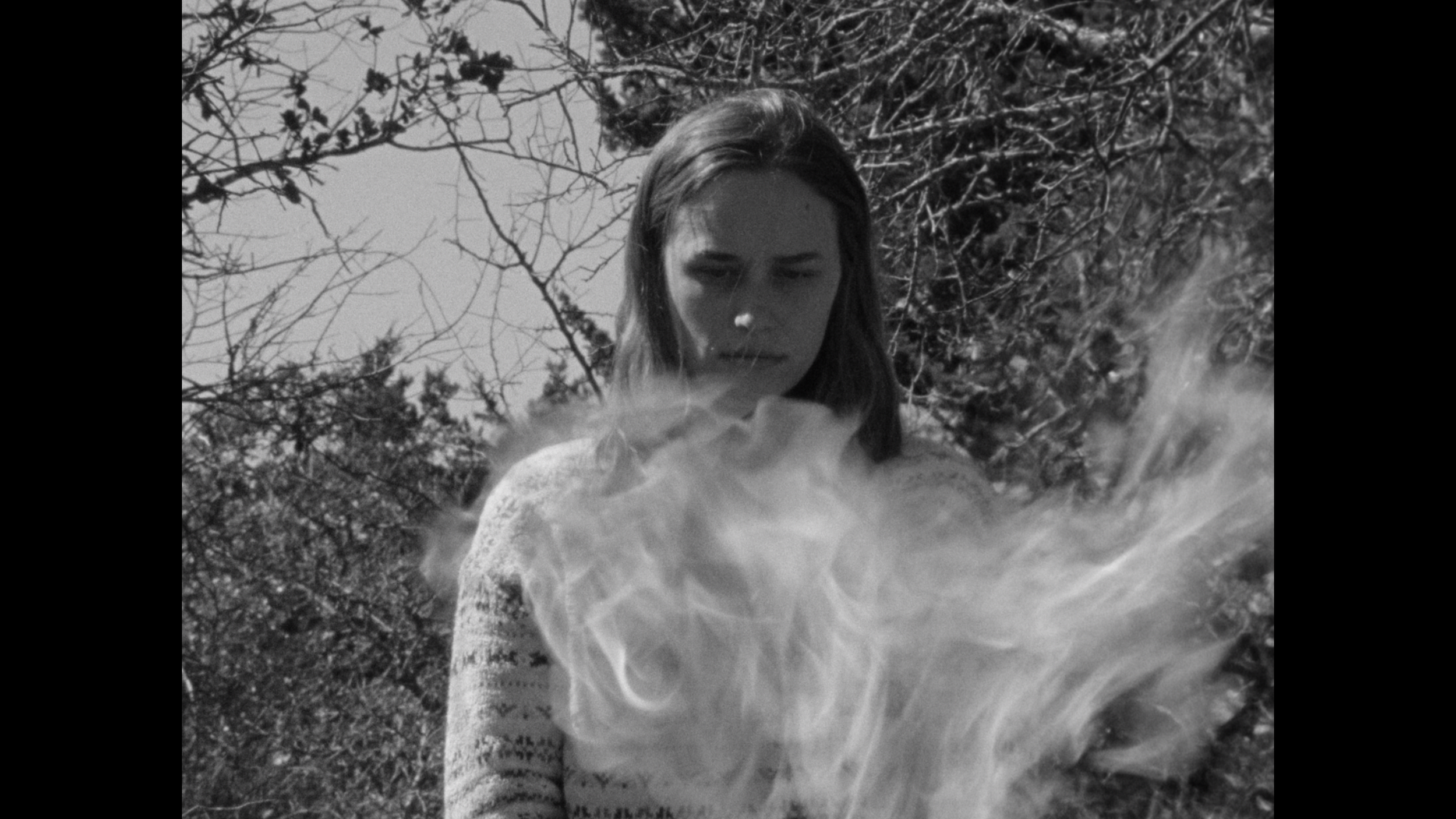 Screen Shot 2022-05-30 at 11.13.50 AM.png