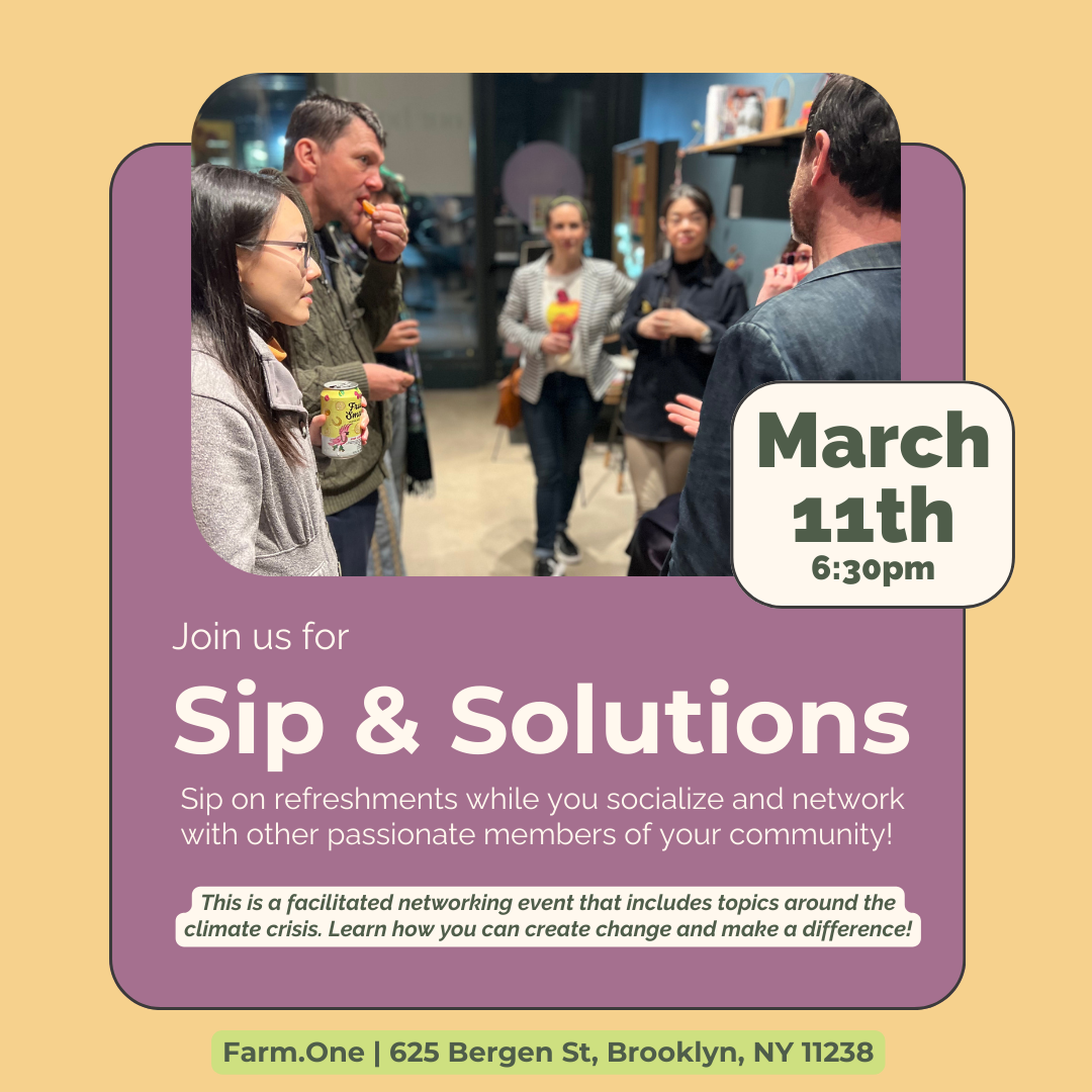 Sip & Solutions - March 2025