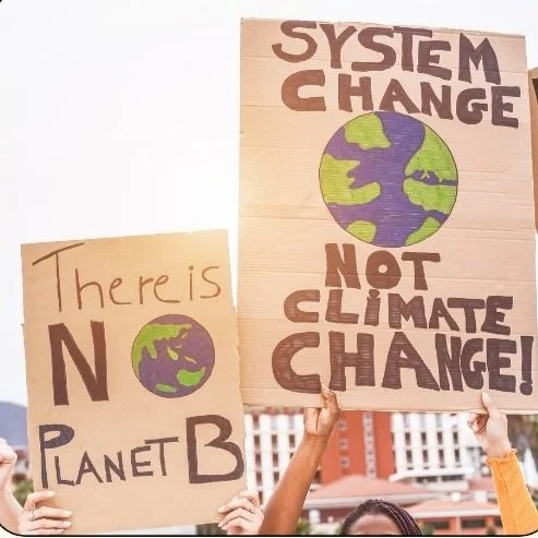 Zero Waste NYC Post Workshop Resource Guide