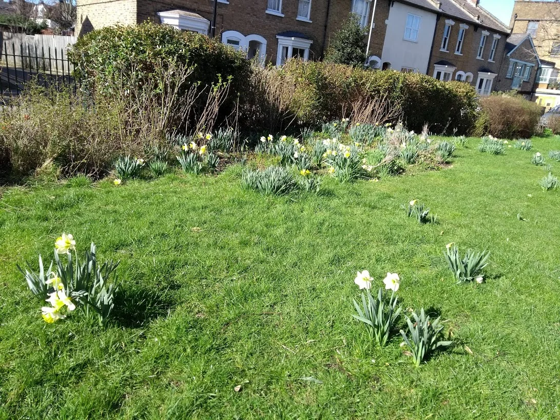 Finsbury Gardens News