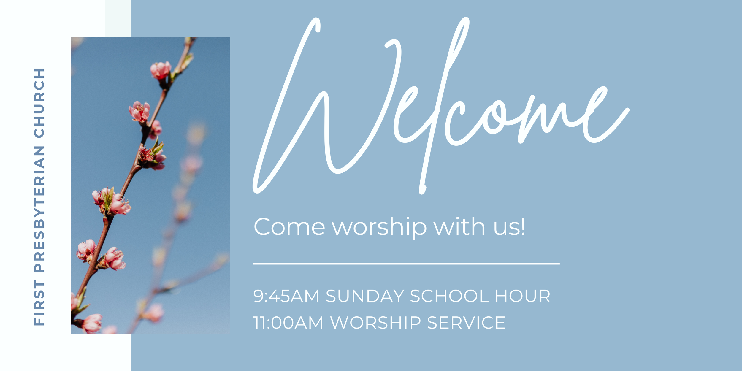 Website Banners (1).png