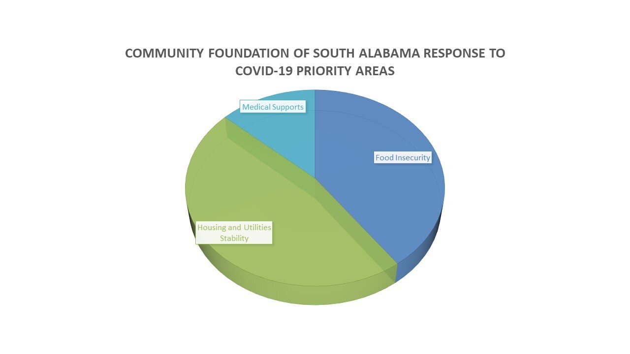 COVID-19 Priority Areas graph.jpg