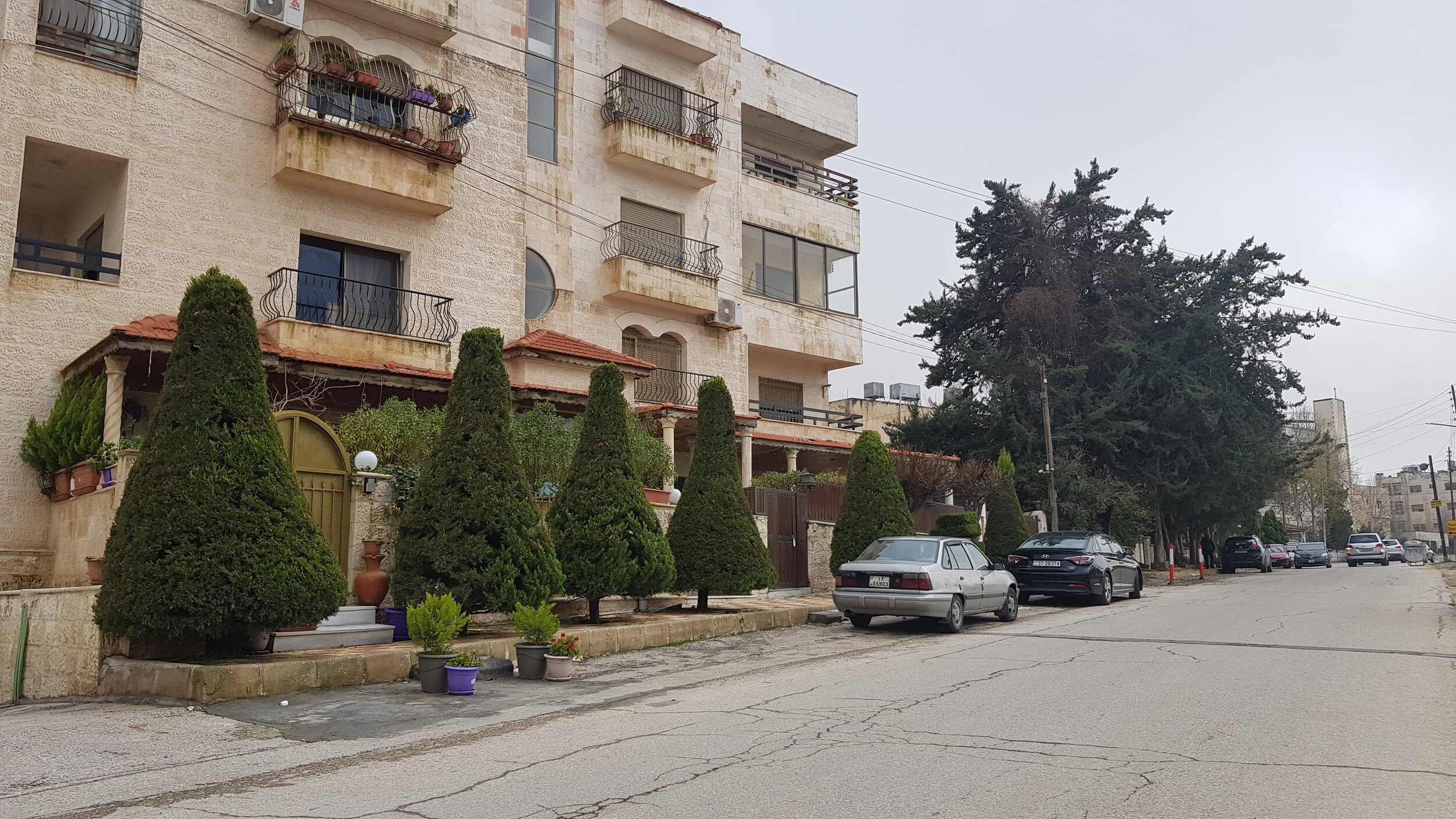  Figure 3. Ornamental Thujas and established conifers form a green buffer in Al-Jandaweel district. Another layer of buffering is added by the parked cars. Small plant pots serve as markers for house entrances to prevent on-street parking encroachmen