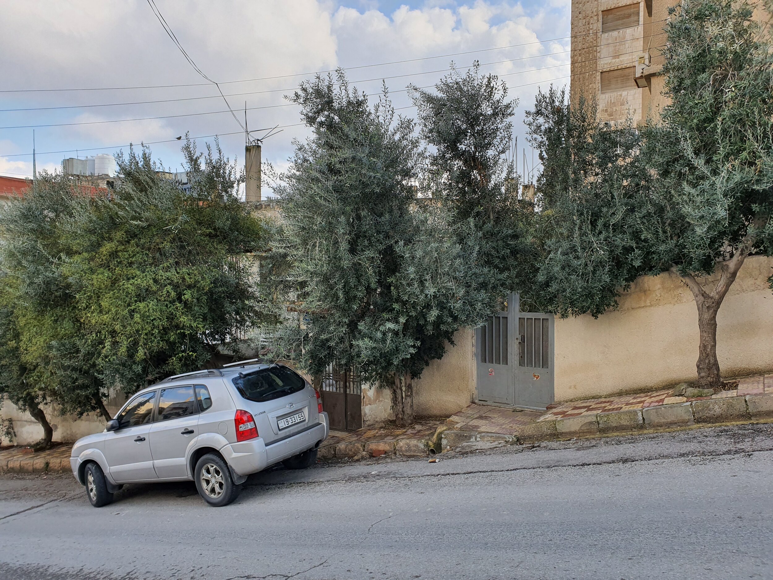  Figure 4. Green-buffer-pavement featuring terraced levels and olive trees on a slope in Marka district in Amman. 