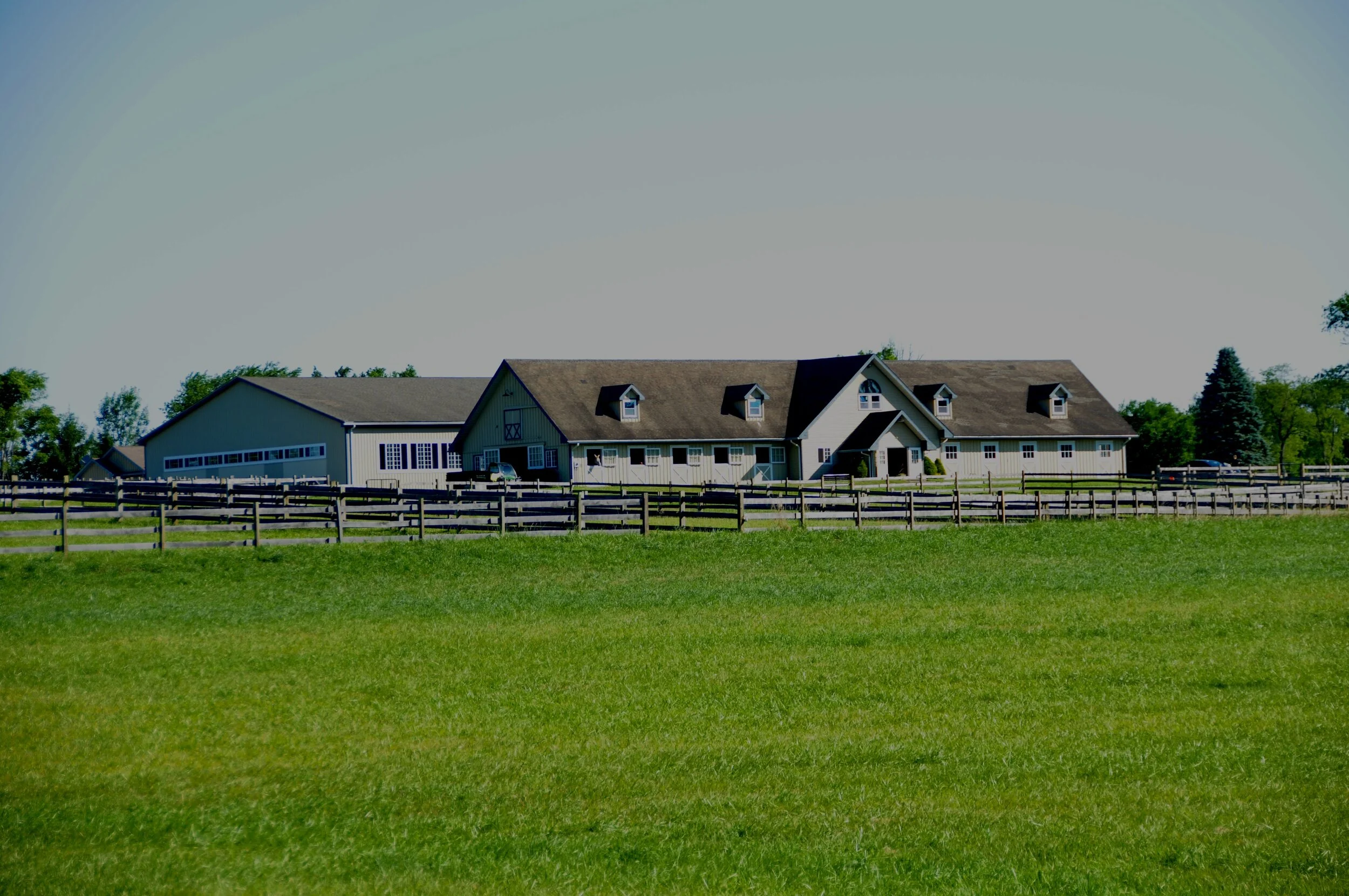 DSC_0732.JPG