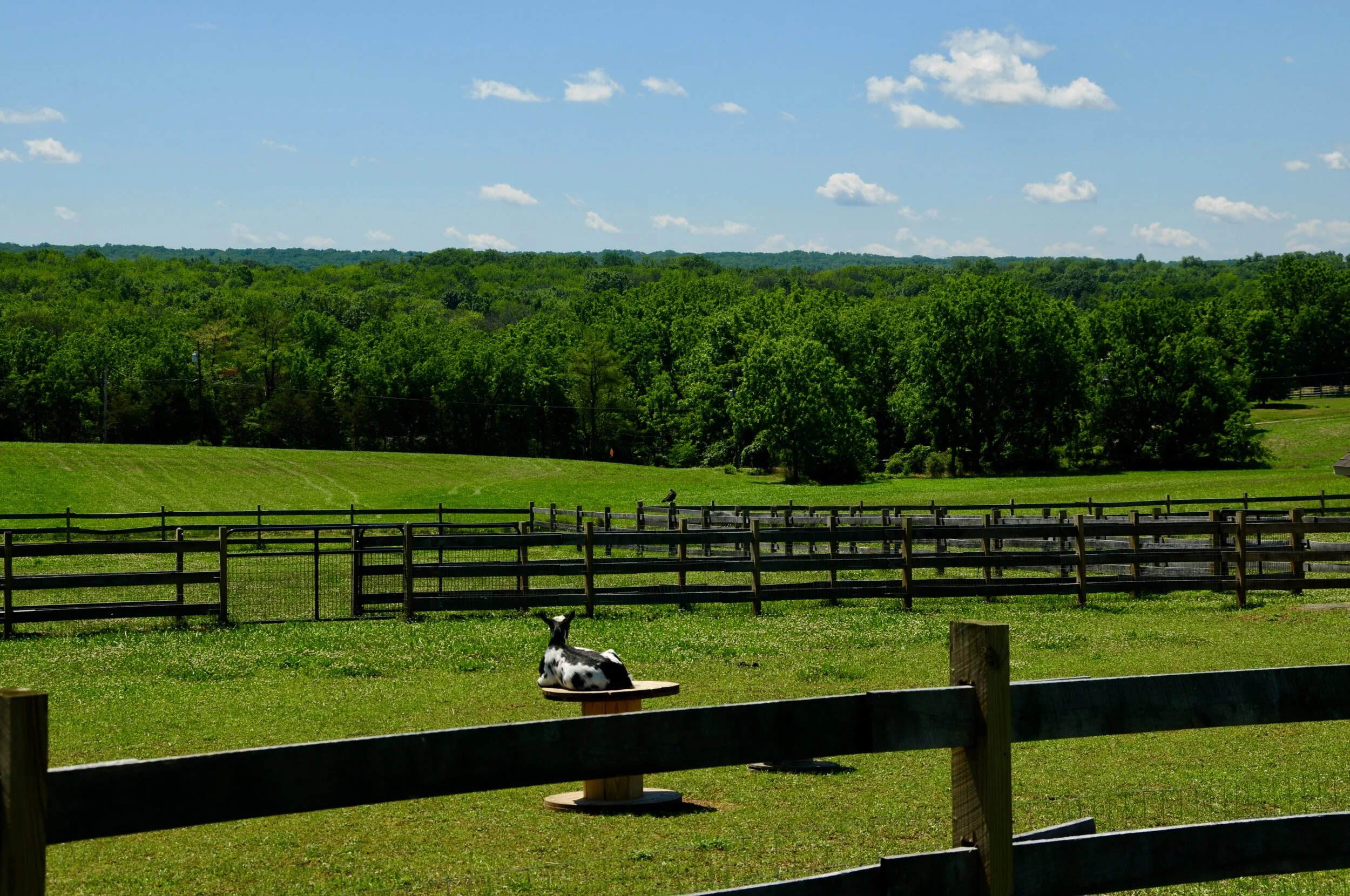 DSC_0984.JPG