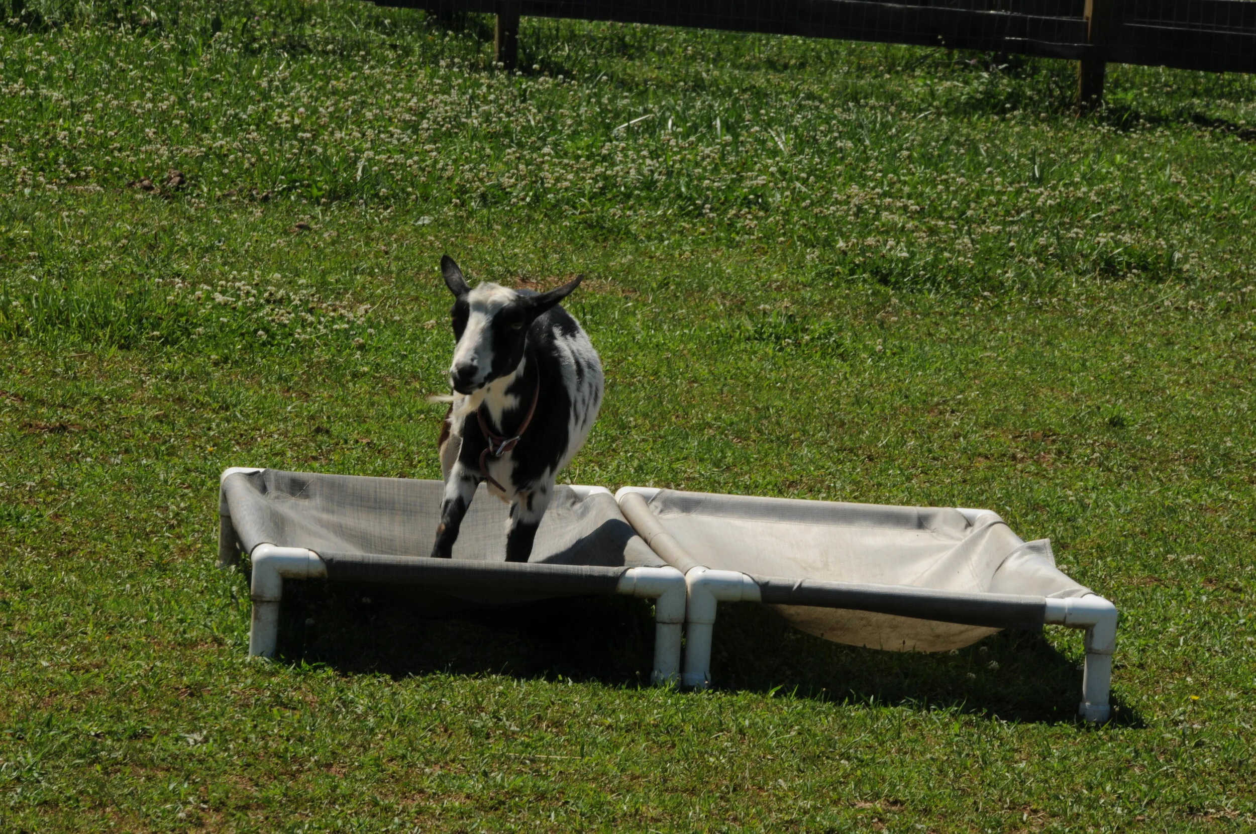 DSC_0965.JPG