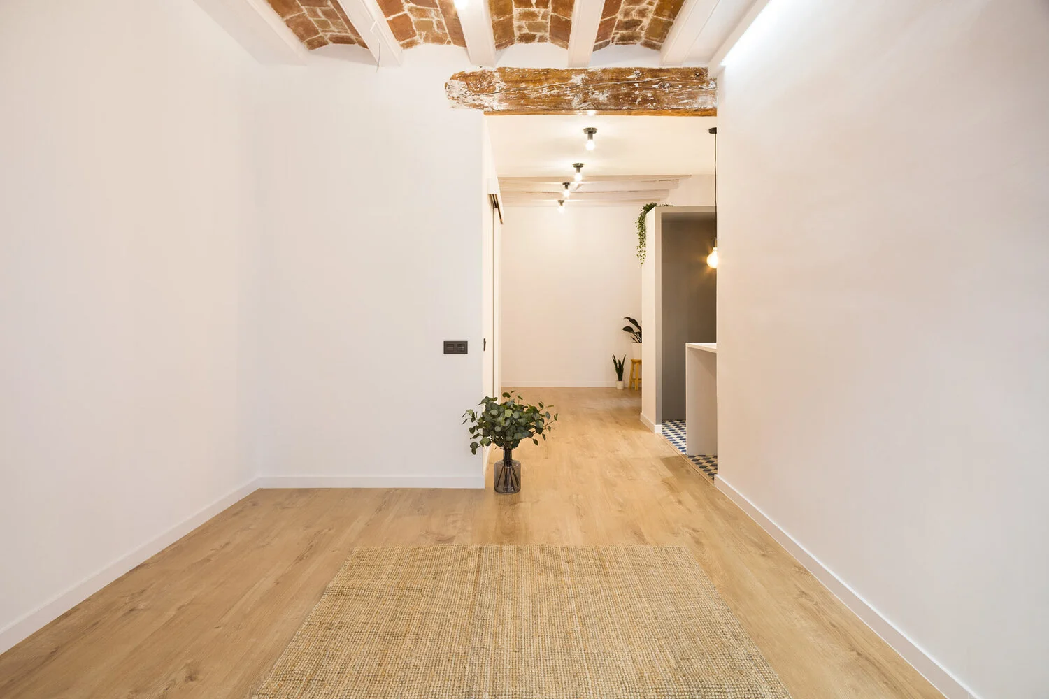 ESTUDIO BAU REINA AMÀLIA 6.jpg