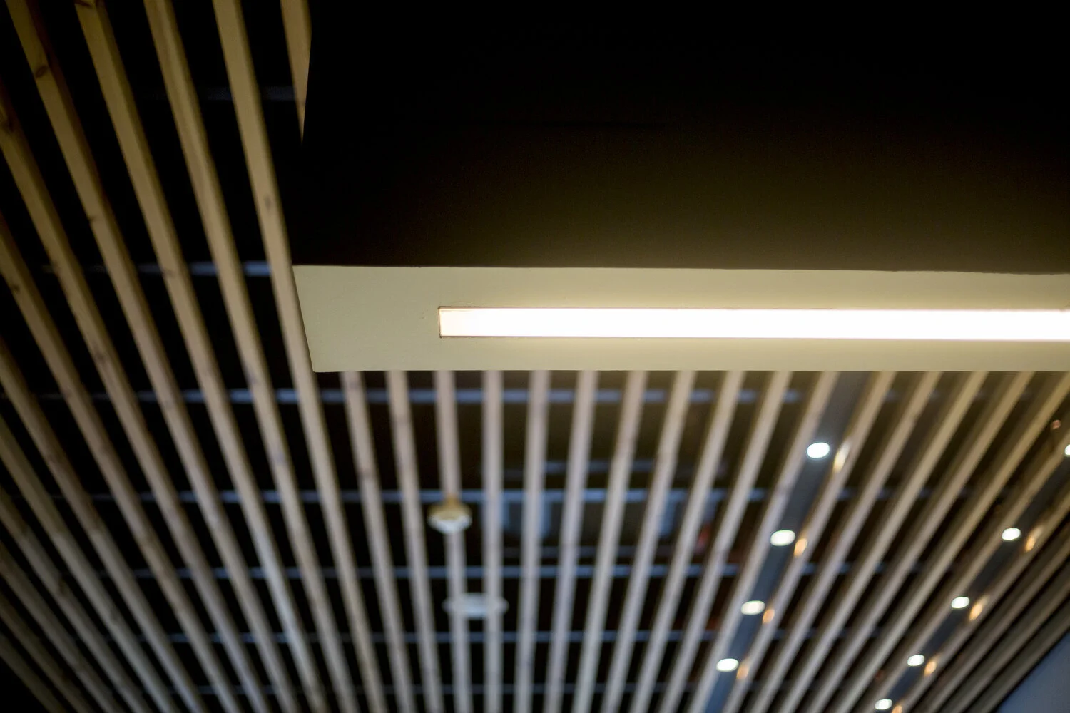 ESTUDIO BAU PELUQUERIA JLG 5.jpg