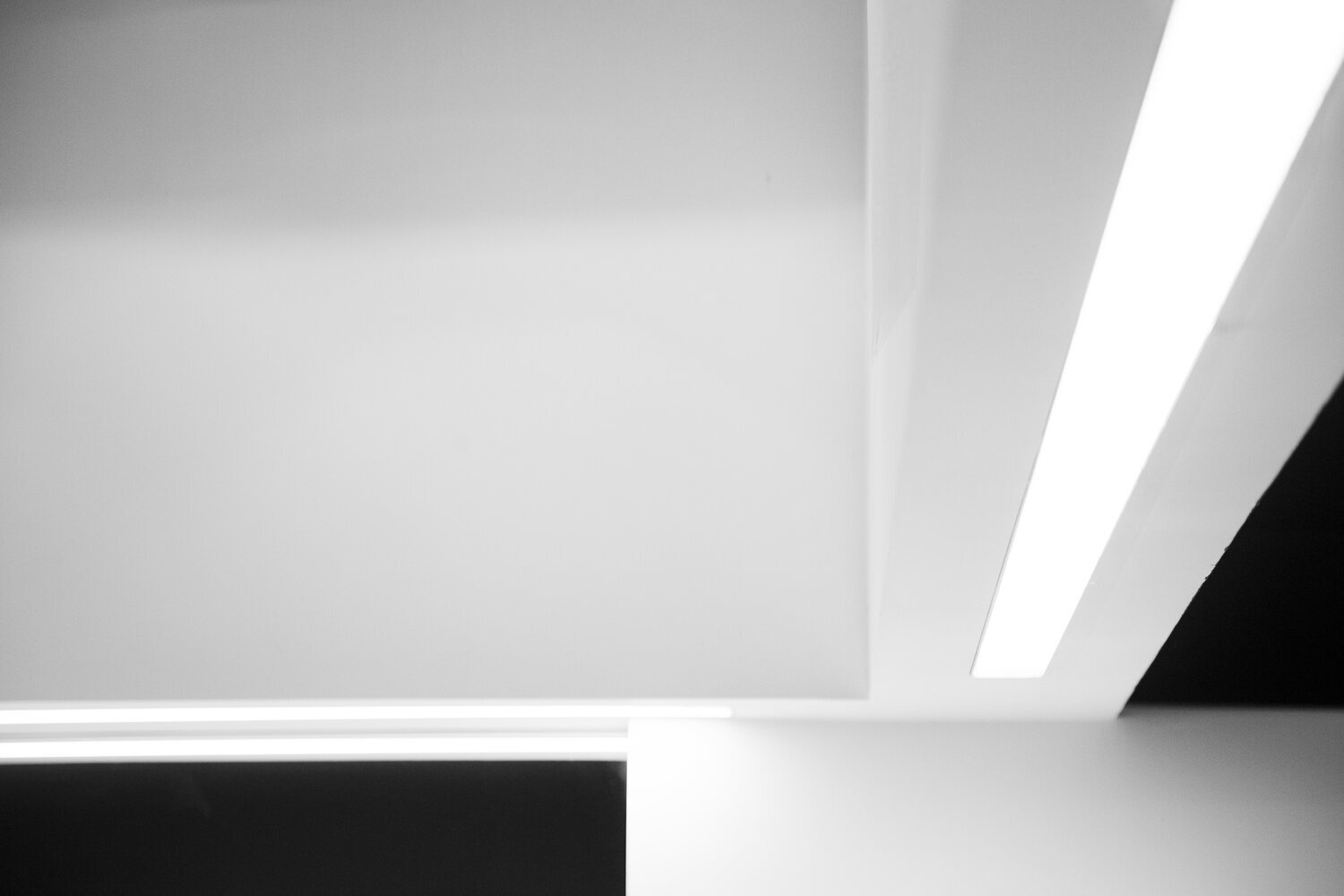 ESTUDIO BAU PELUQUERIA JLG 12.jpg