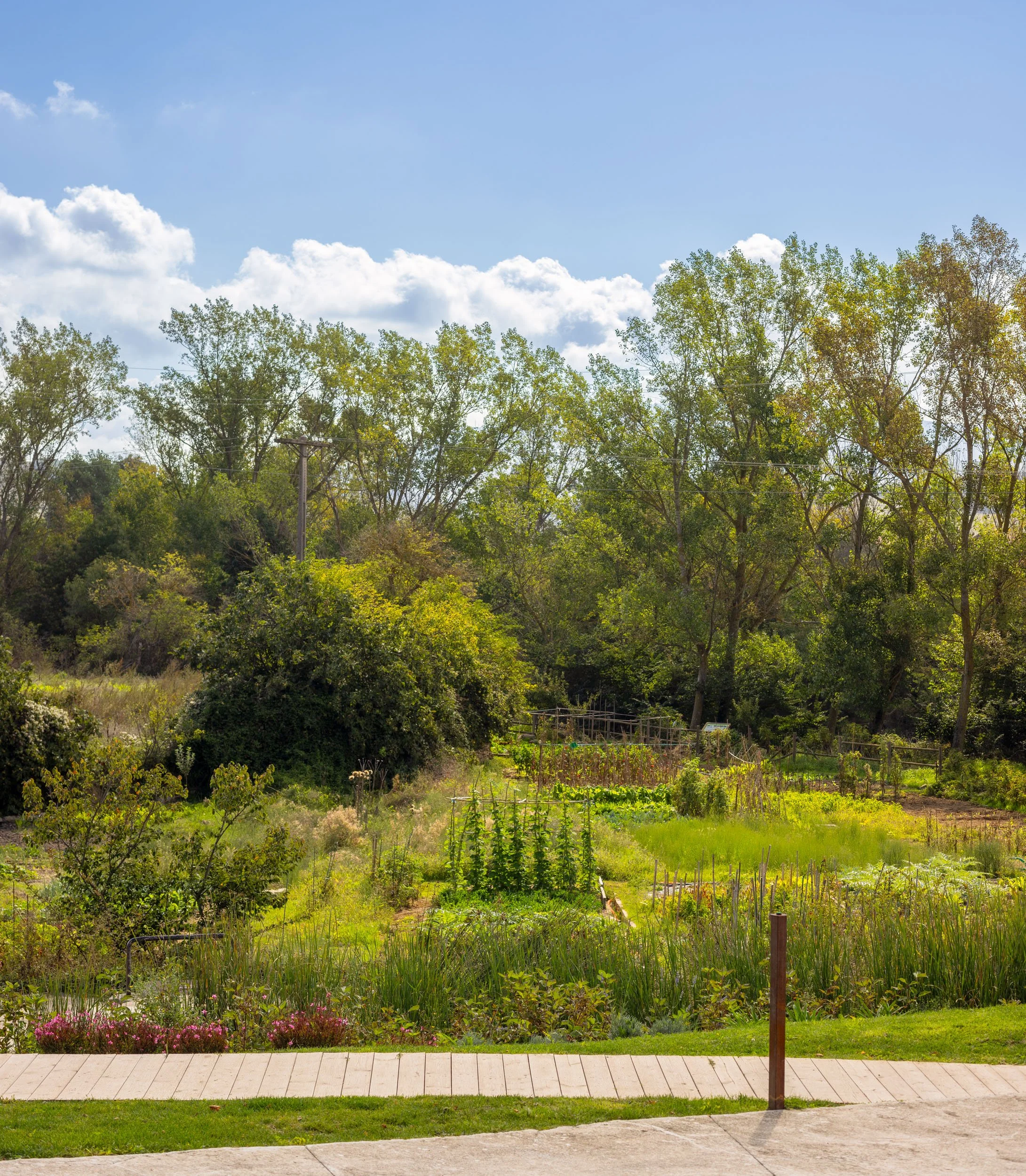 ETXAURI EXT._035.jpg