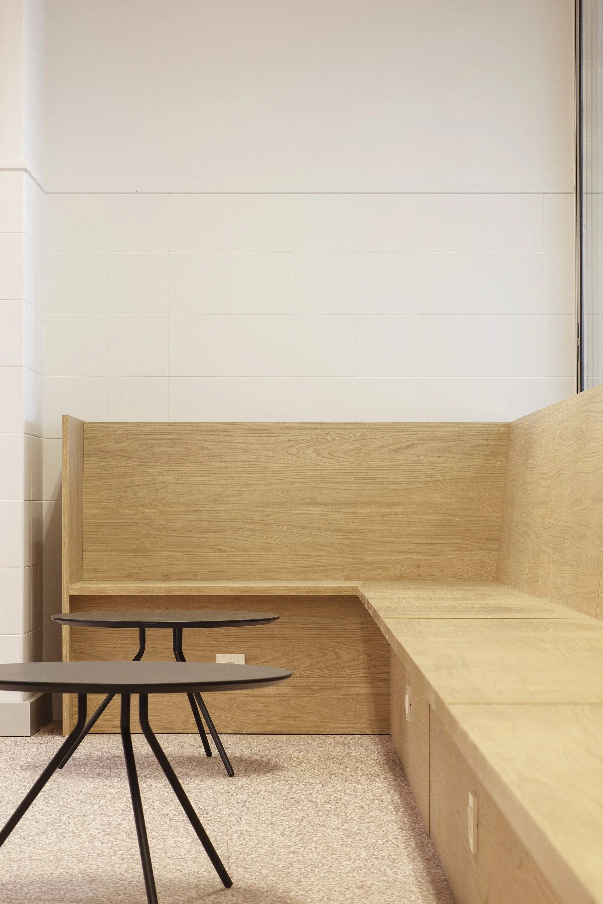 IES Biurdana-024 COLOR.jpg