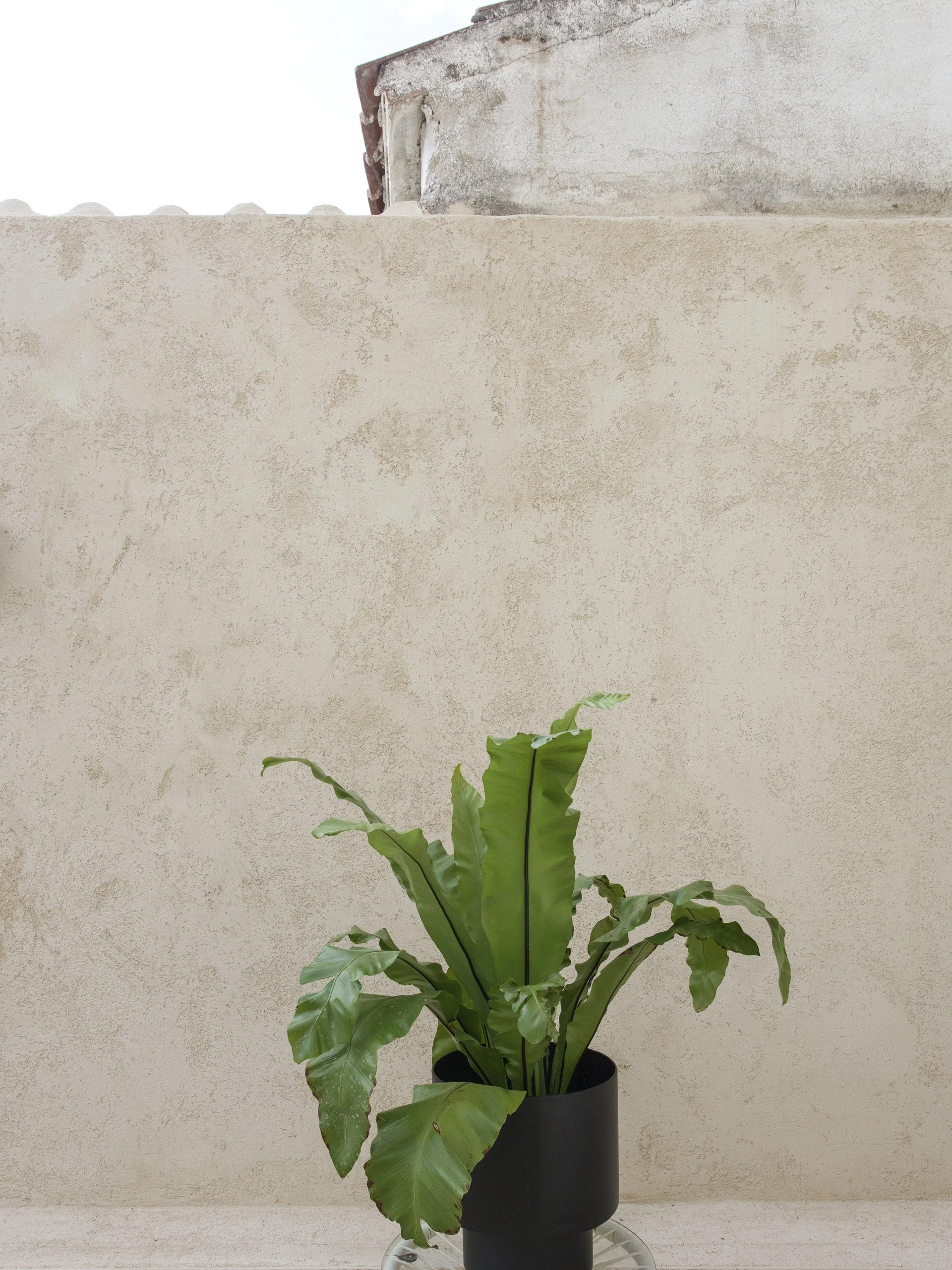 Eduardo y Sofia-235.jpg