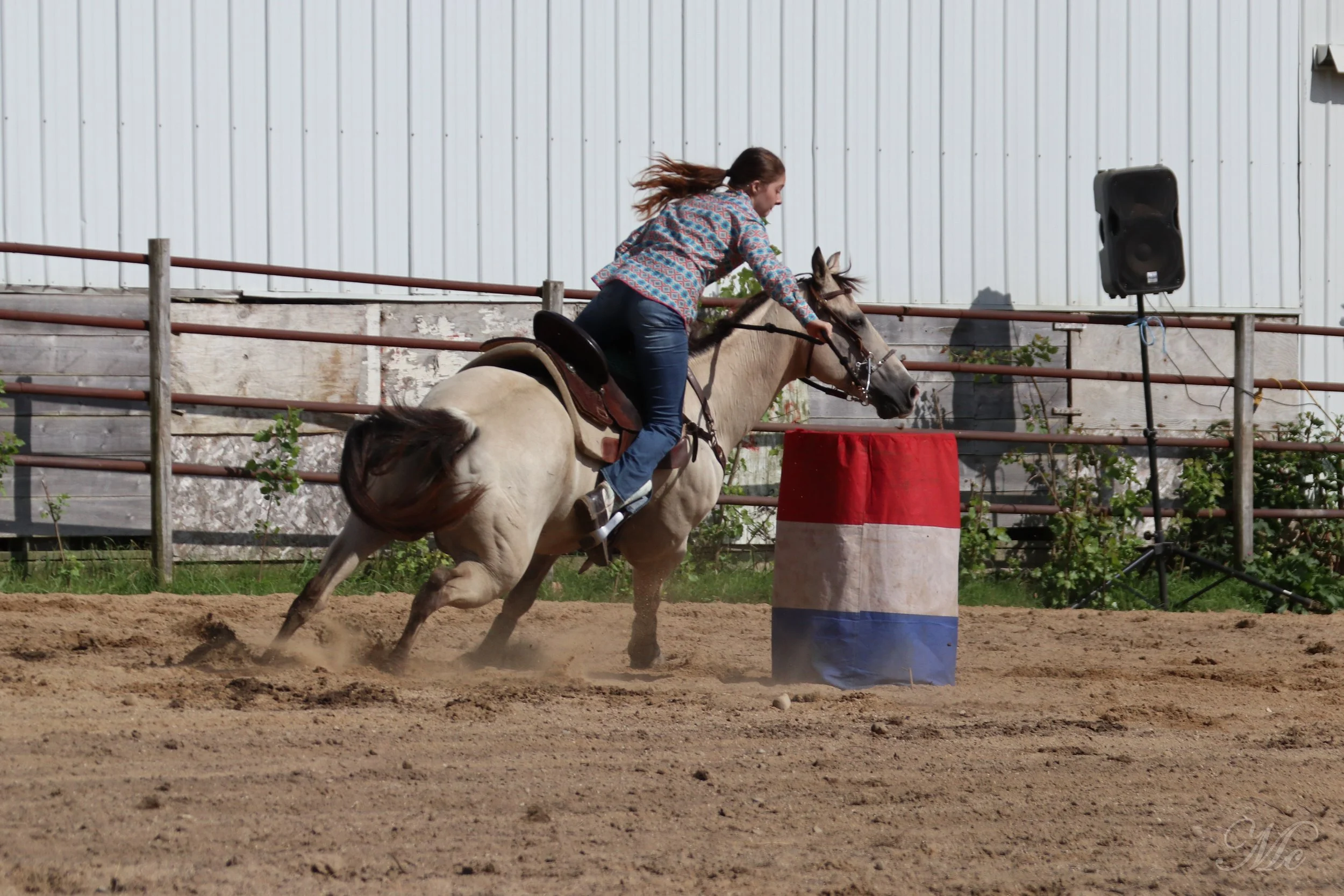 20210814S_HeroServicesRodeoPatrioticHorsesBarn-048.jpg