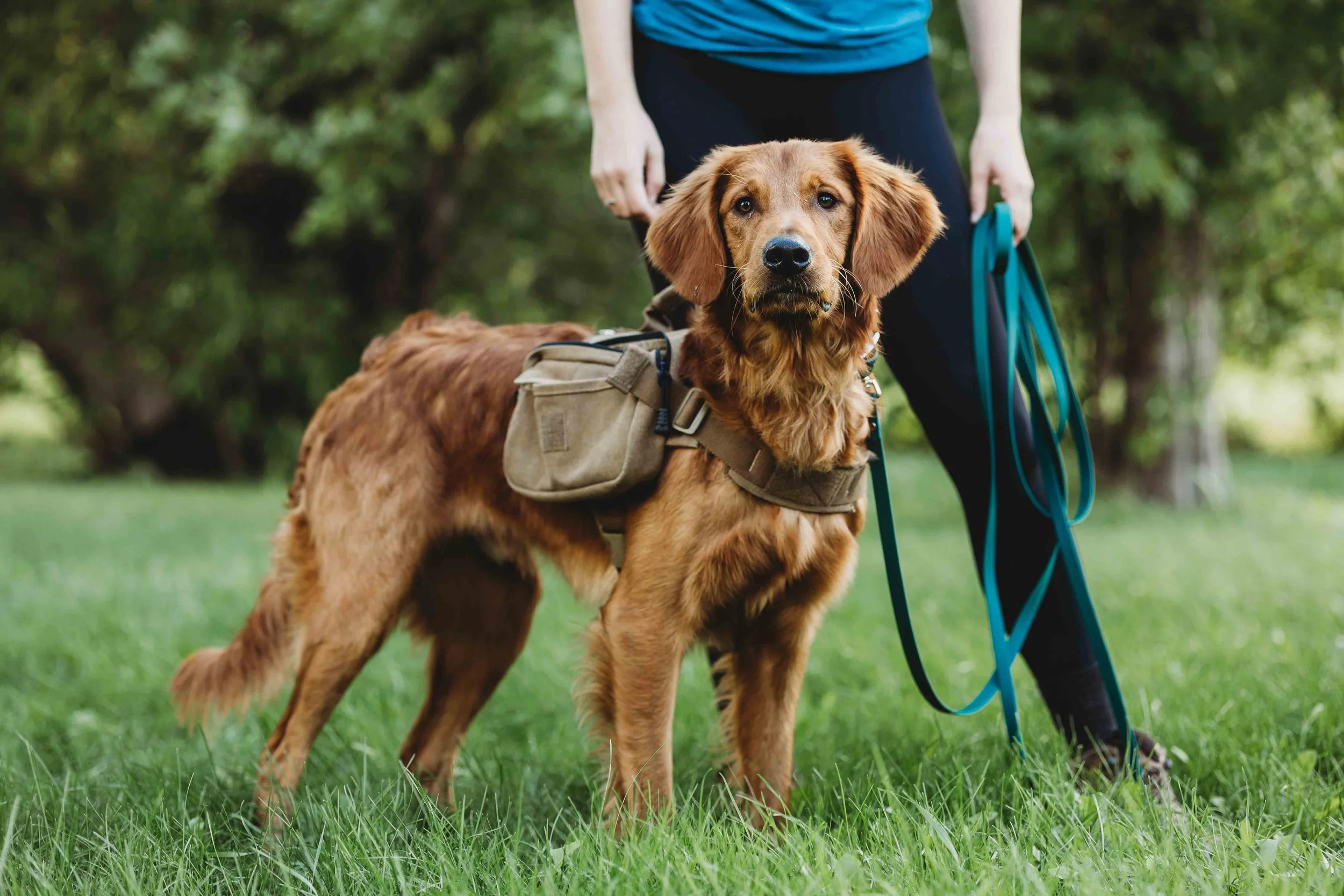 NewPupPacks-Lifestyle-Web-6.jpg