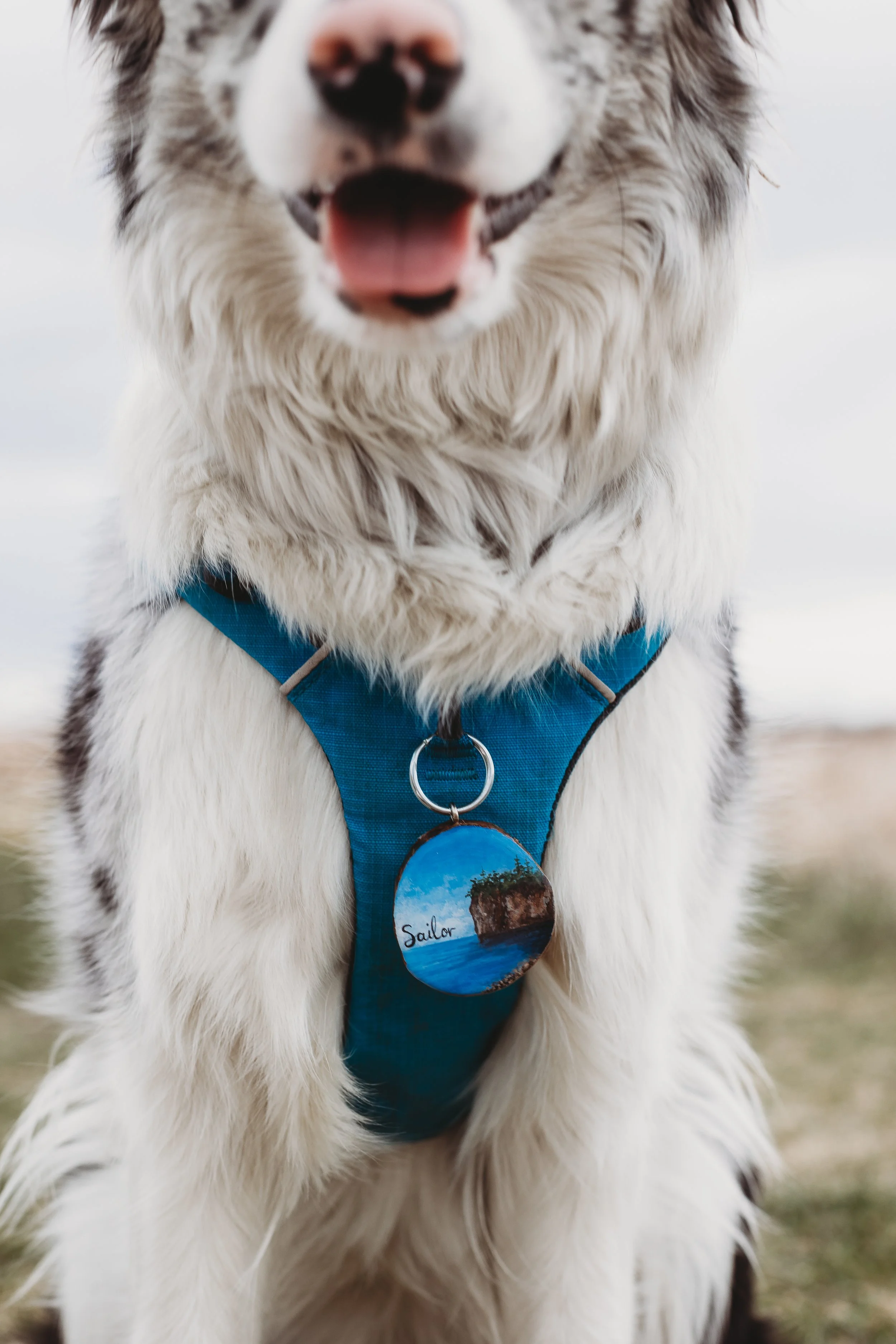 050221-Sailor-2.jpg