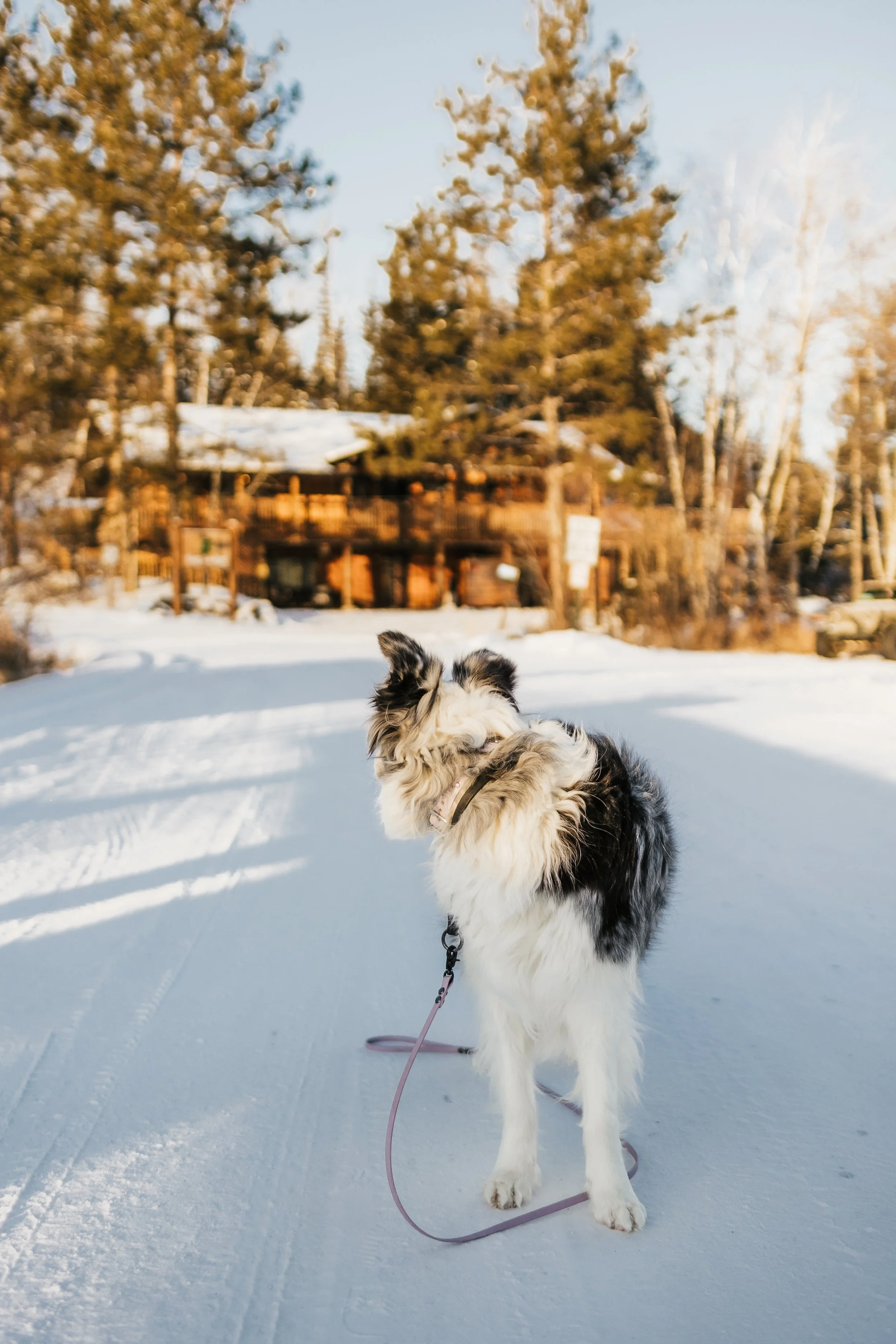 sag-lodge-kayleigh-omang-15.jpg