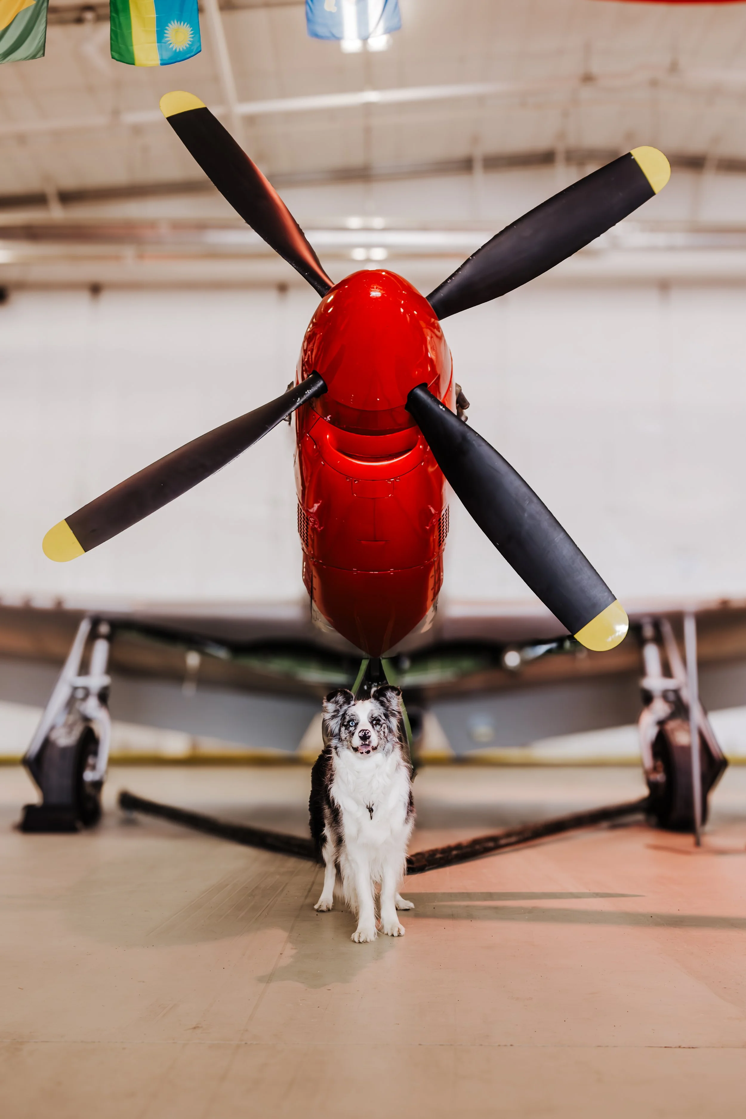 airmuseumpreviews-5.jpg
