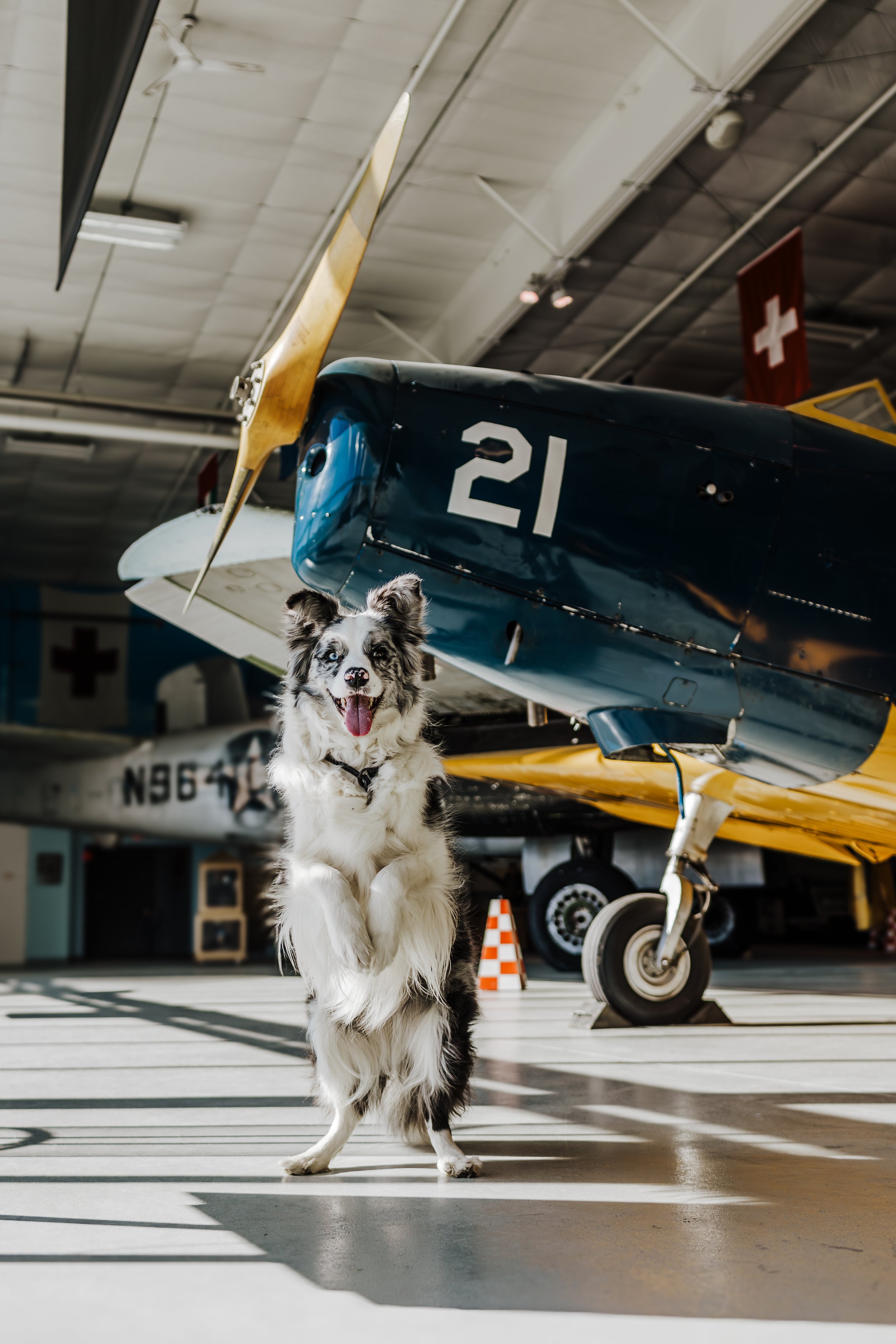 airmuseumpreviews-10.jpg