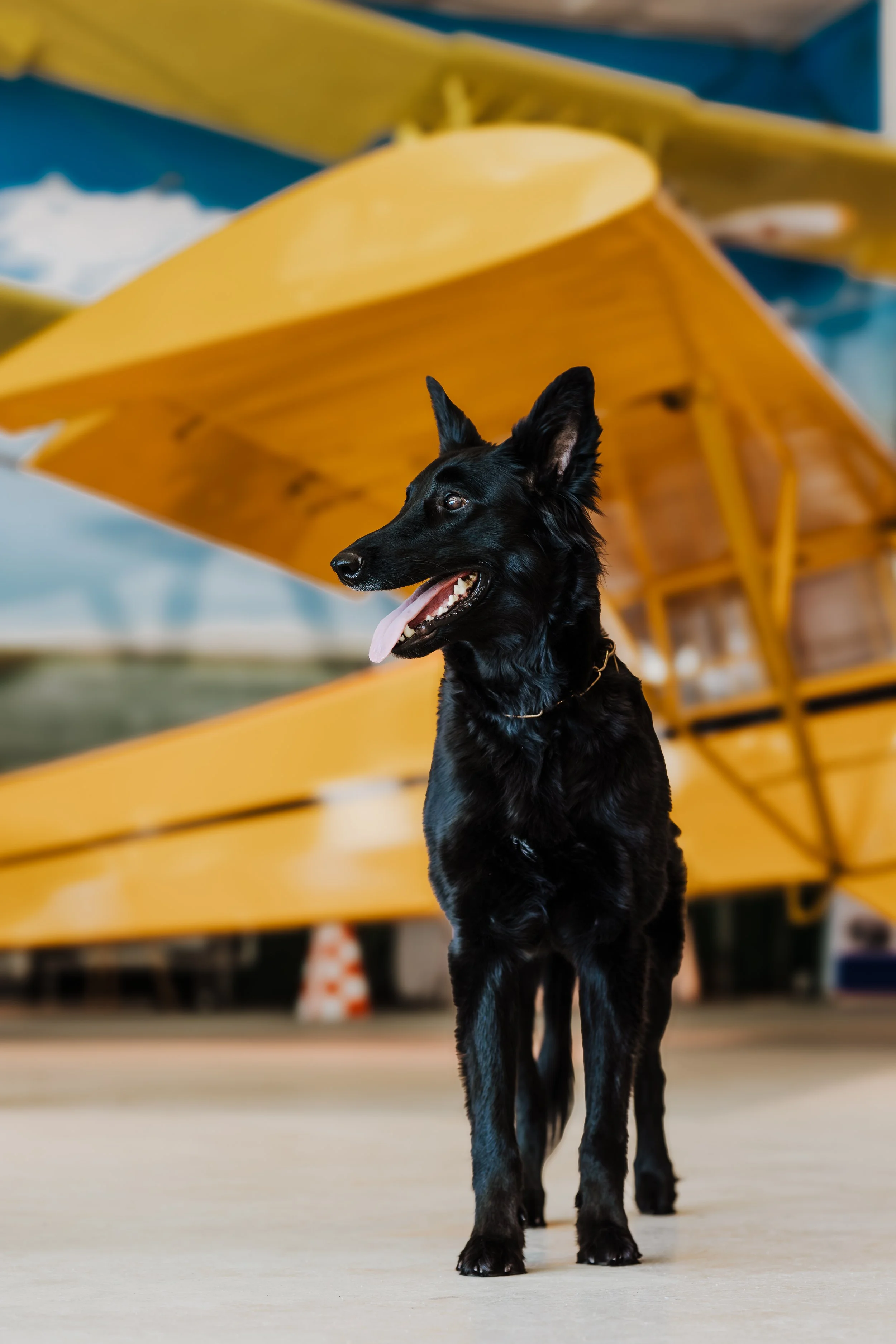 airmuseumpreviews-34.jpg