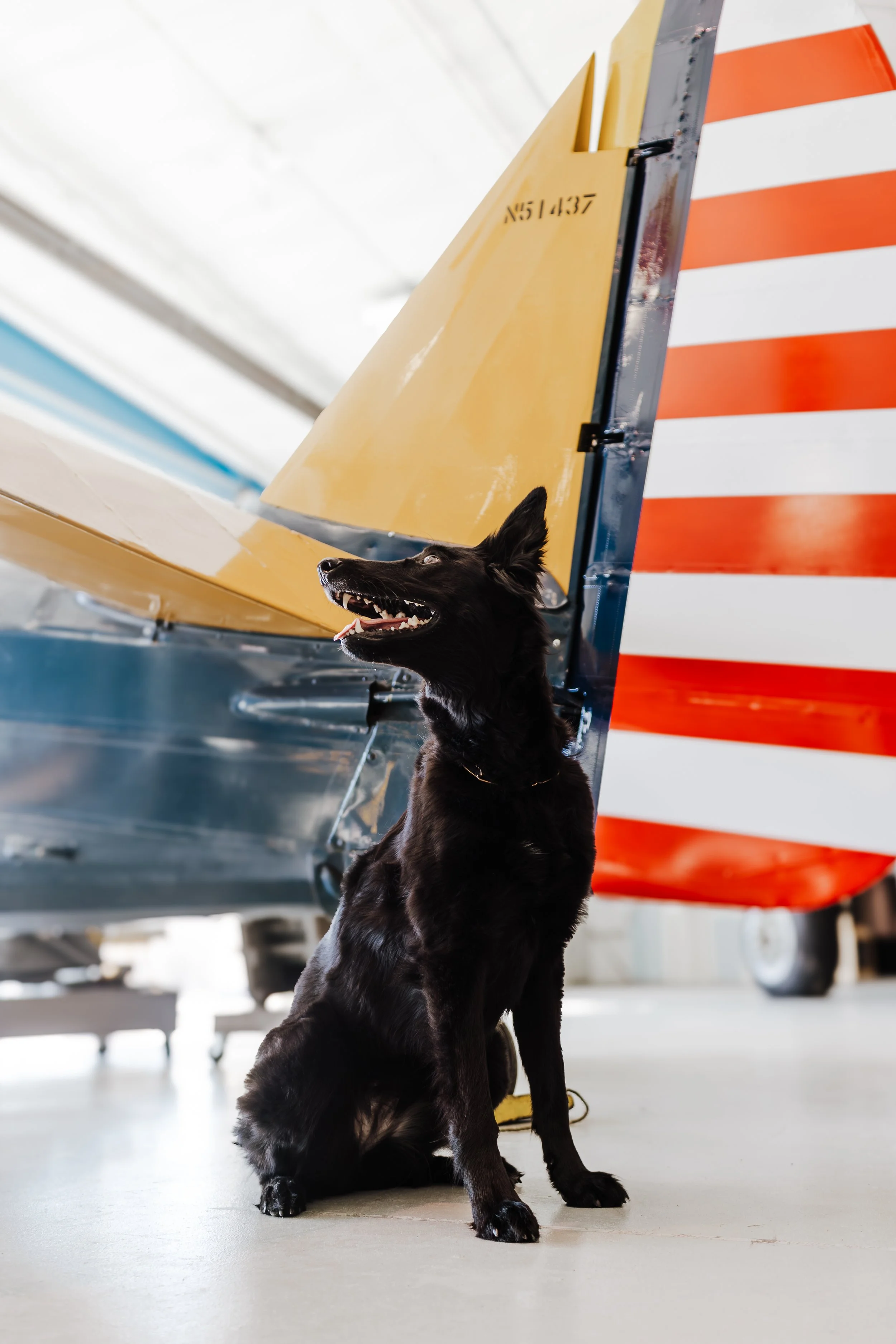 airmuseumpreviews-14.jpg
