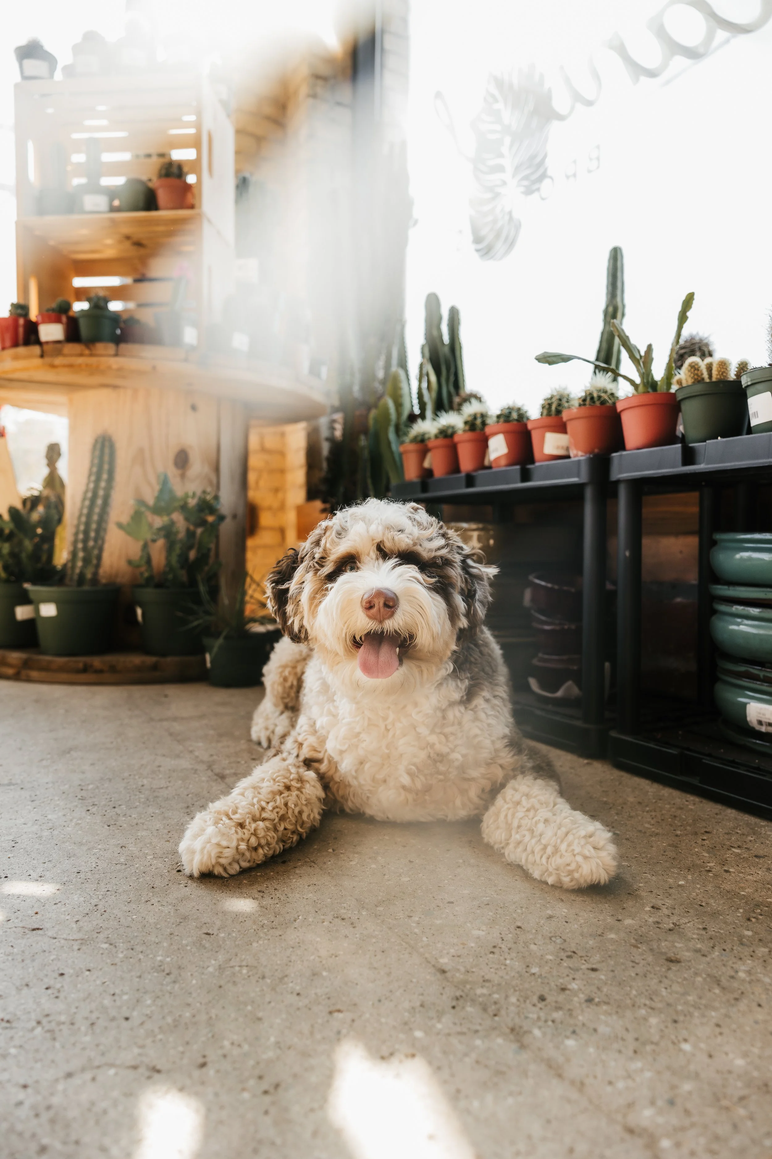 Fur & Foliage - Gertie-17.jpg