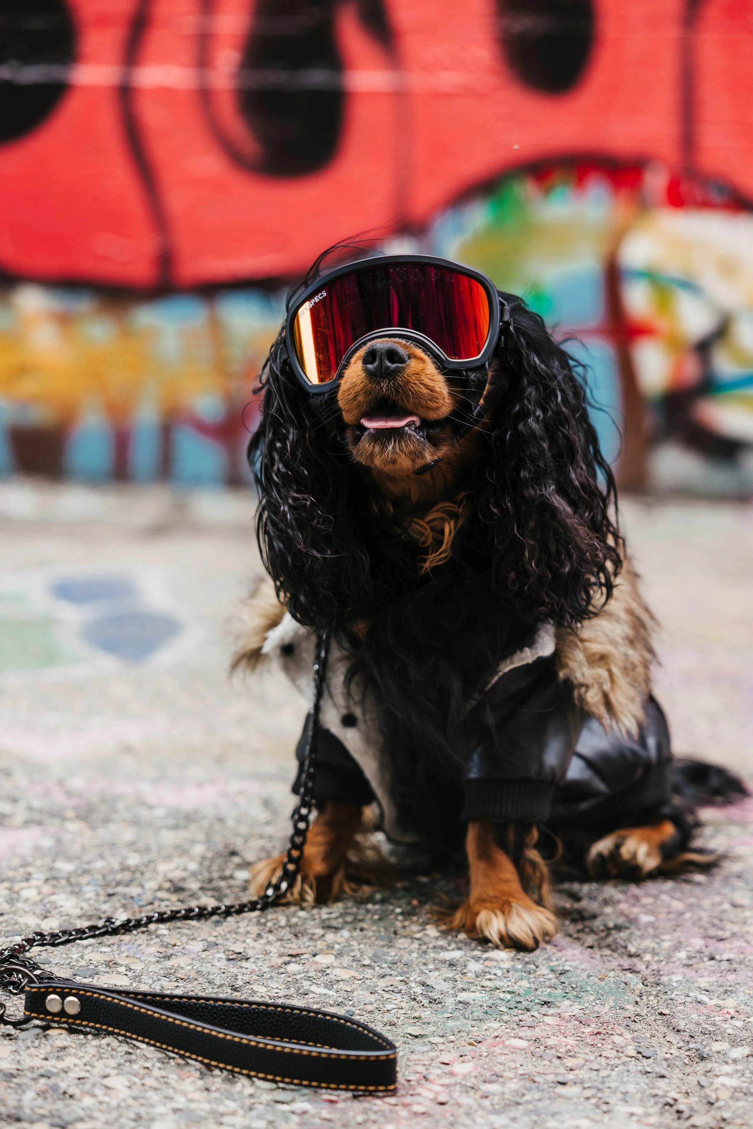 Punk Rock - Torrhen-12.jpg