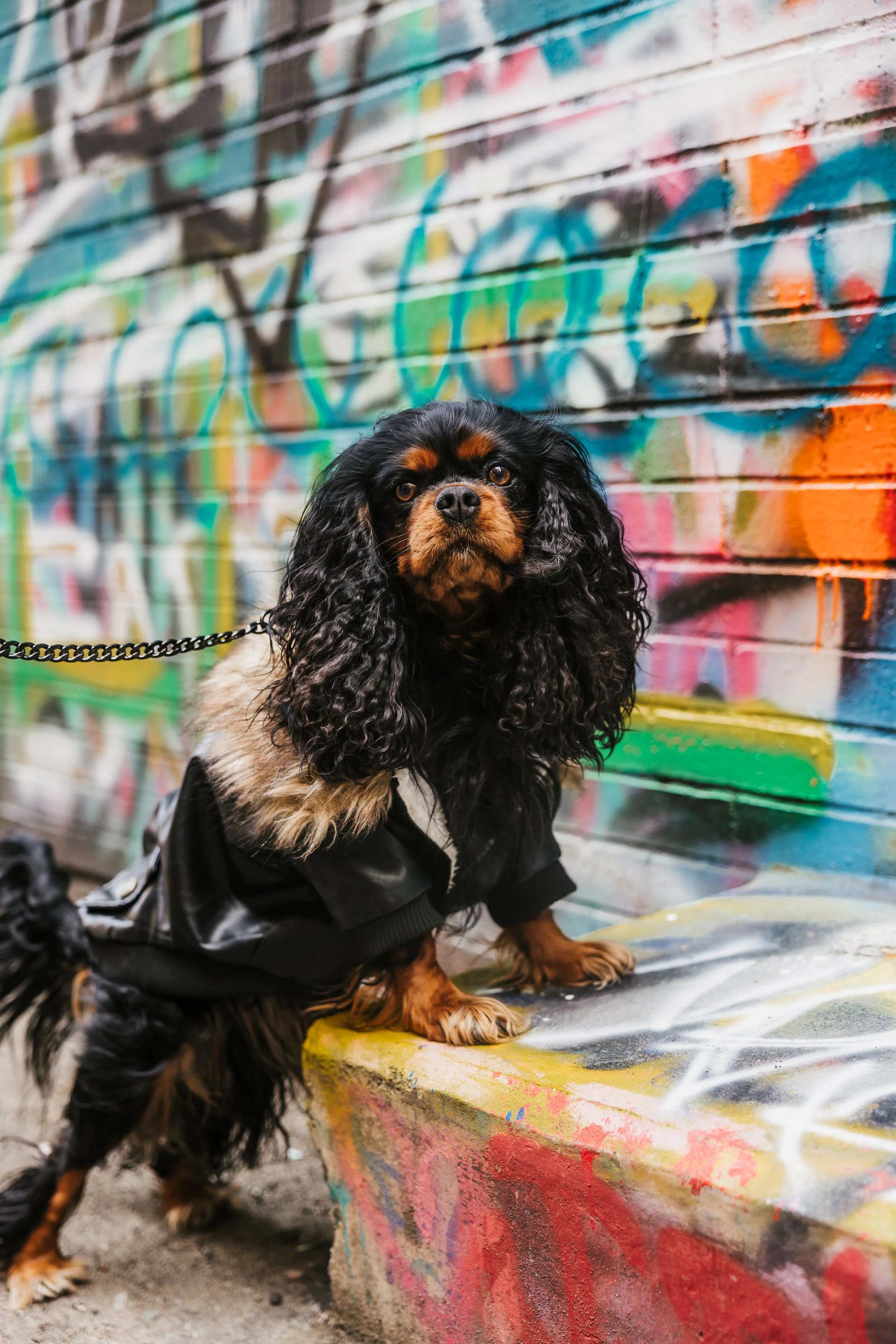 Punk Rock - Torrhen-7.jpg
